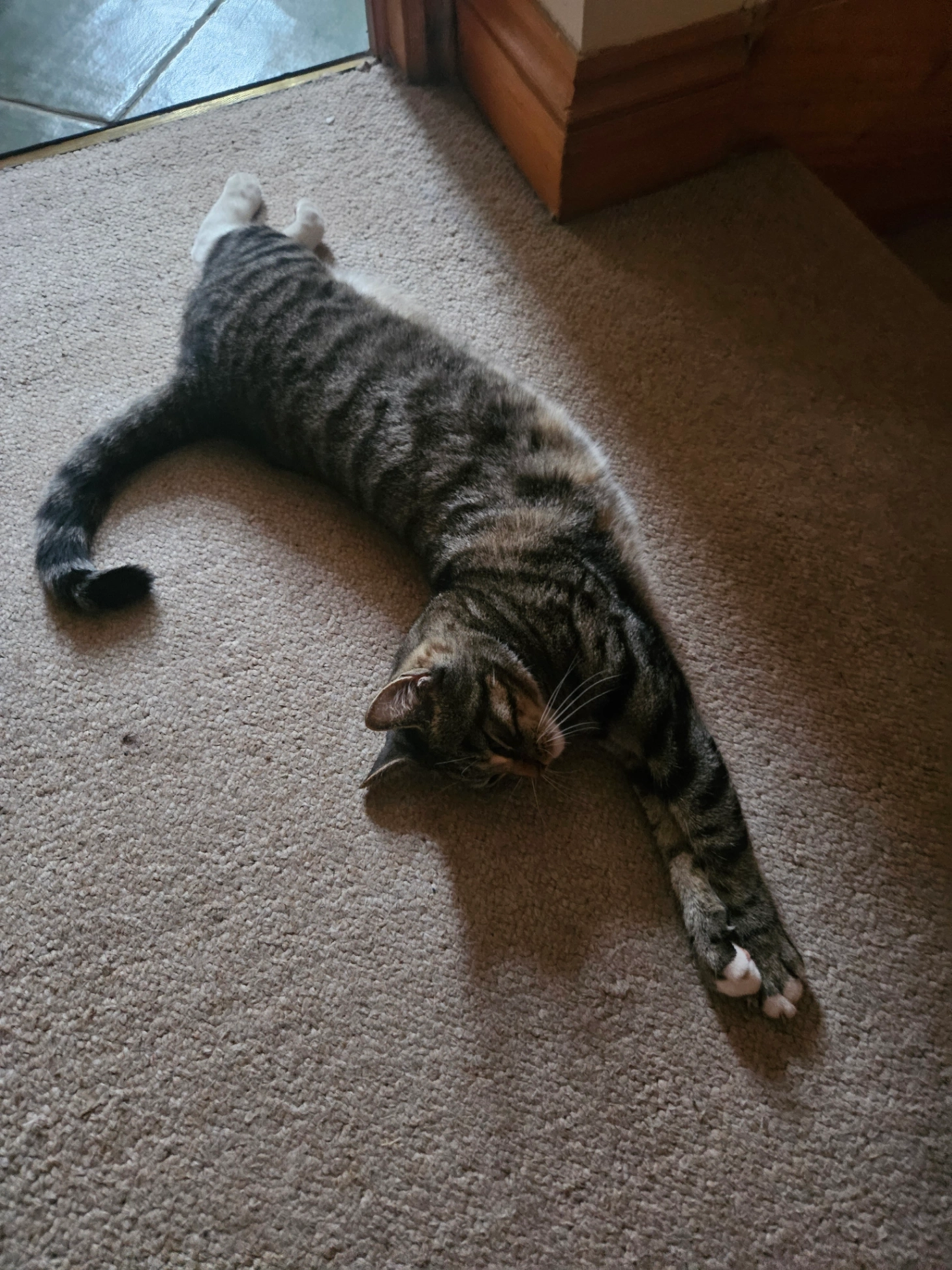 Simba - Theißtal, Niedernhausen