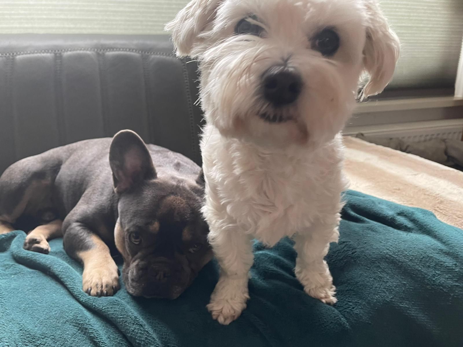 Rosita - Constantijn Huygenslaan, Uithoorn