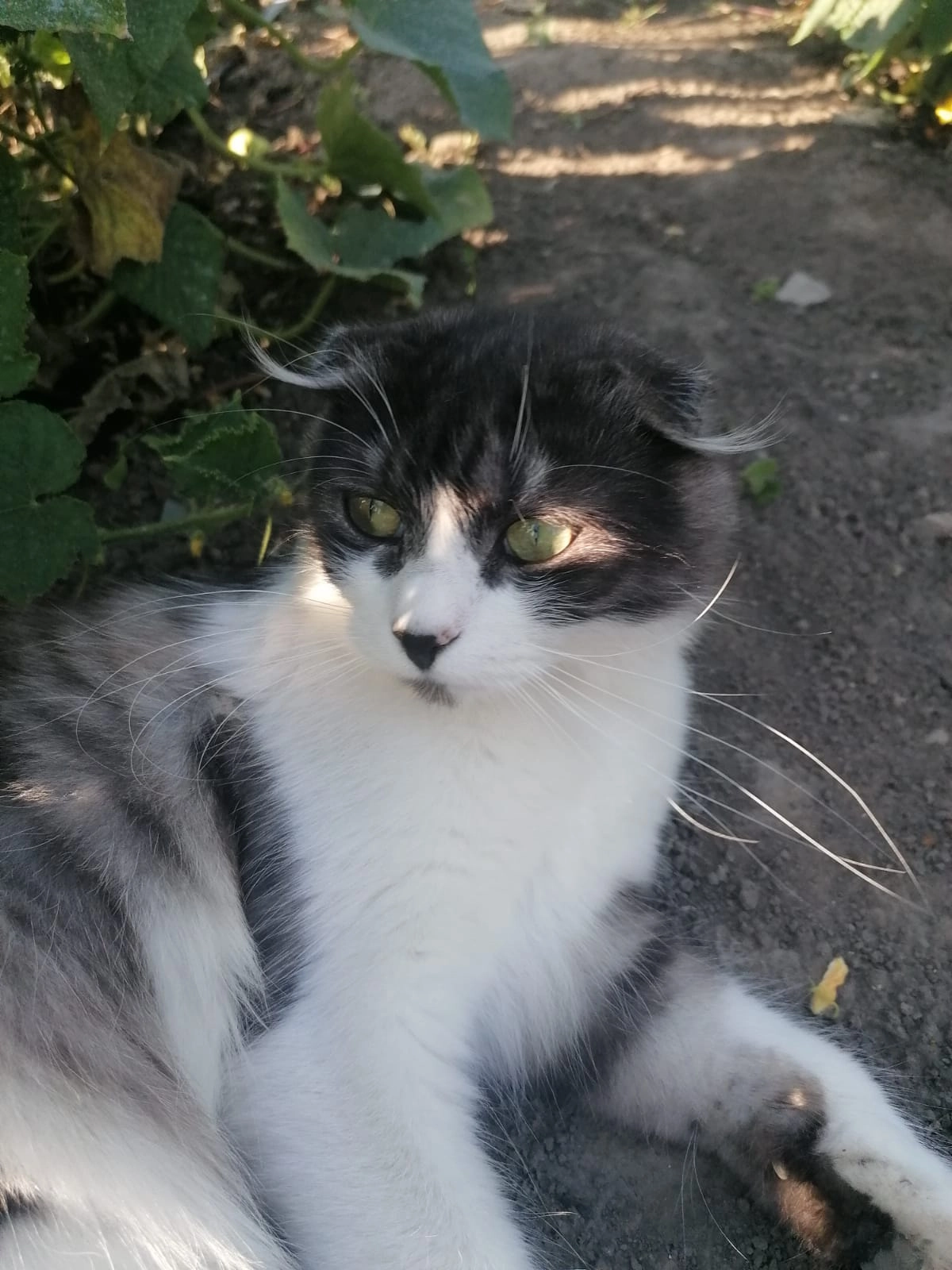 Max  - Kantstraße 10, 57290 Neunkirchen