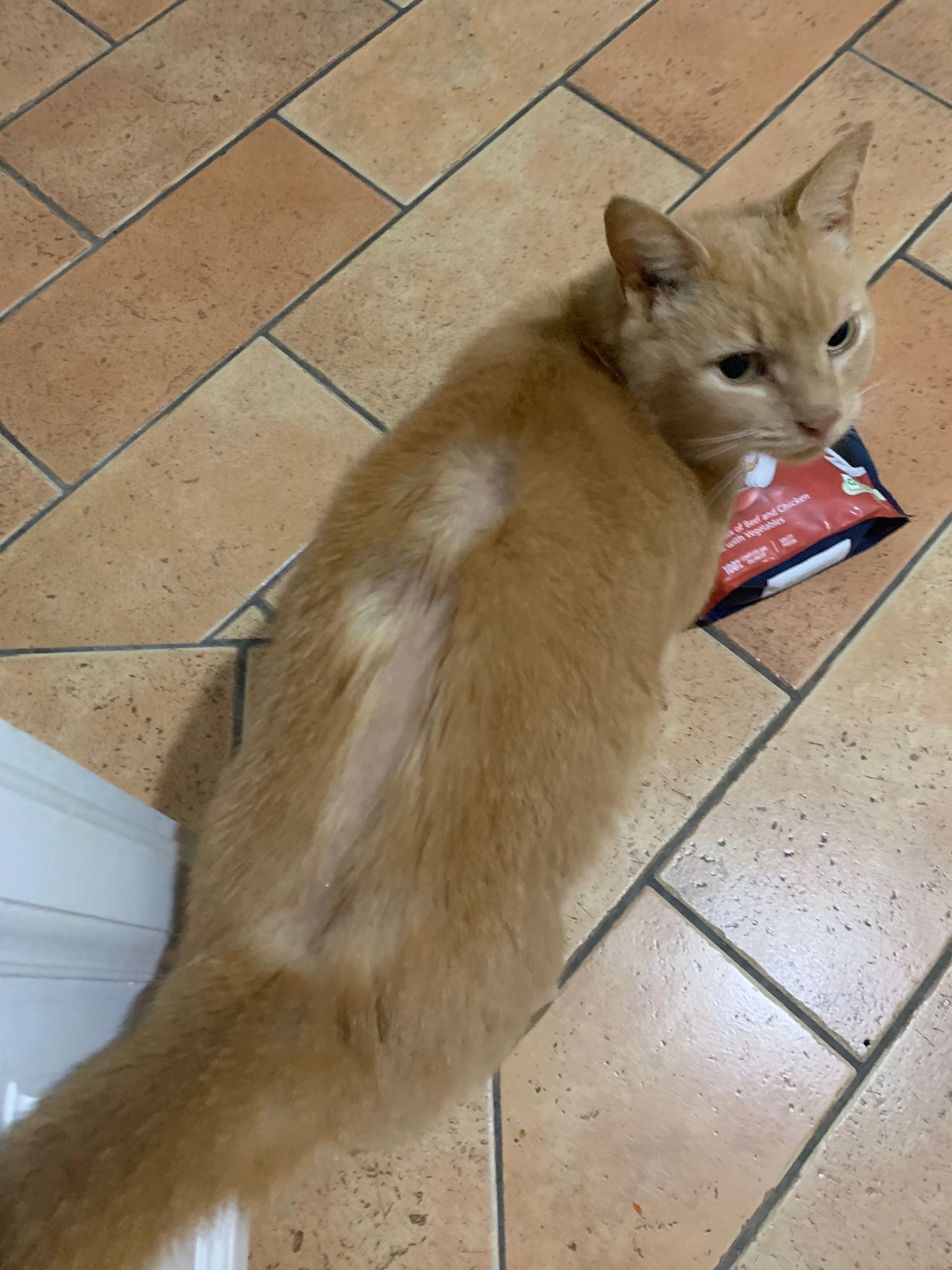 Thor - Stonegate, Waterford