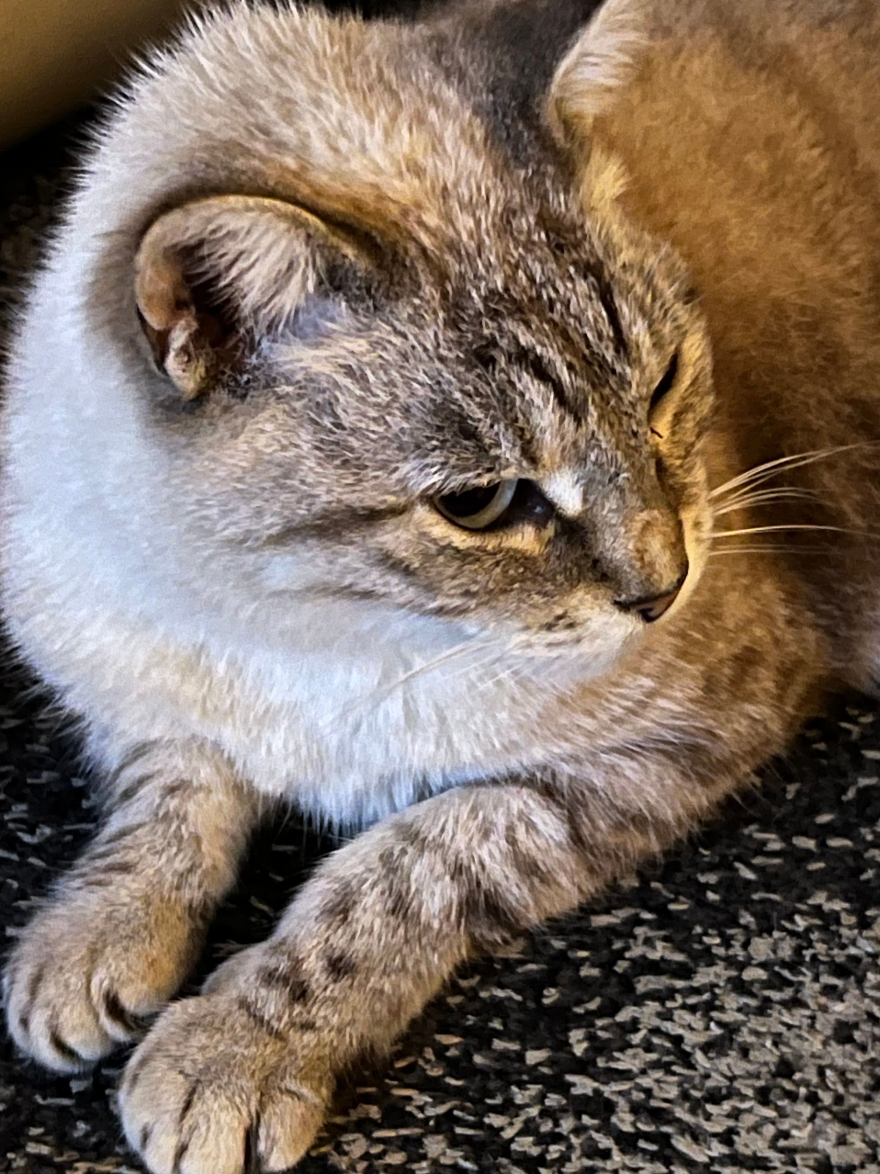 Ukica - Vrčevan, Medulin