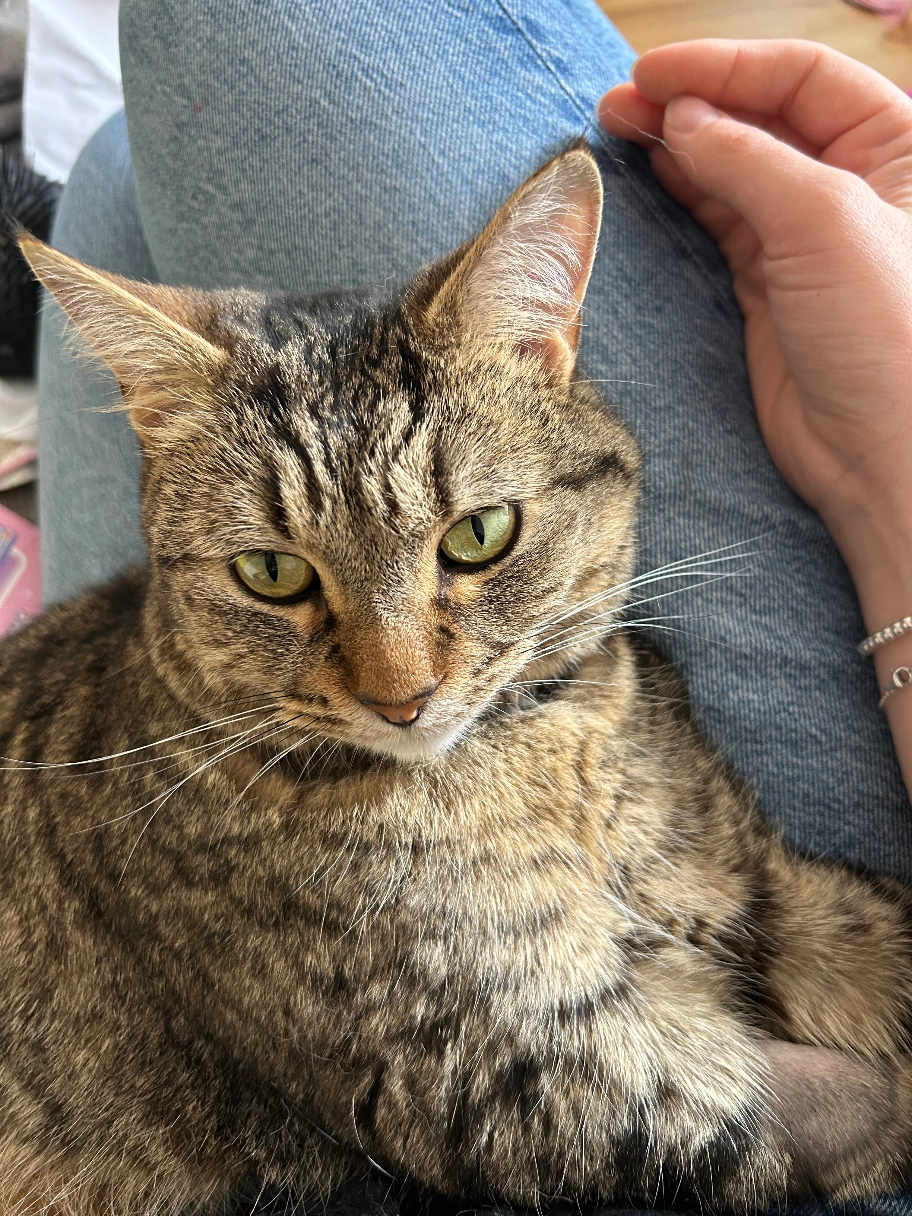 Waffle - HP19 7, Aylesbury