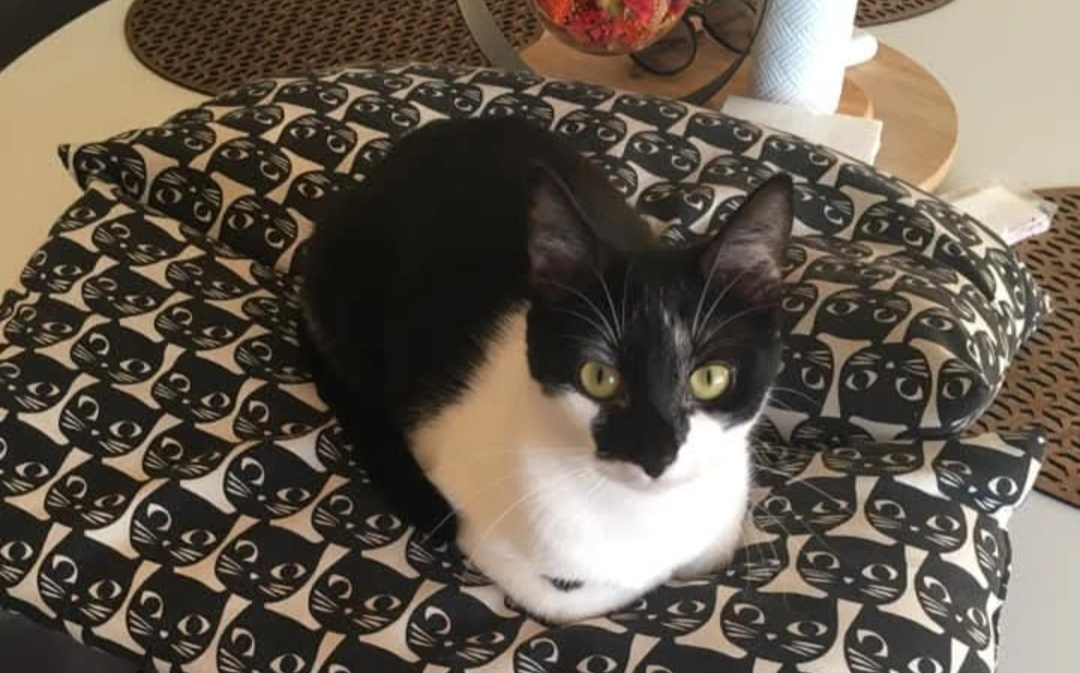 Sushi - Rue Ronsard, Tremblay-en-France