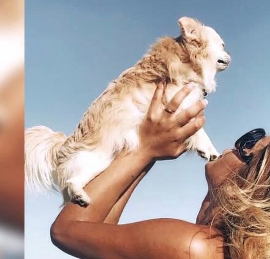 Pique  - Vestey Court, Westgate-on-Sea