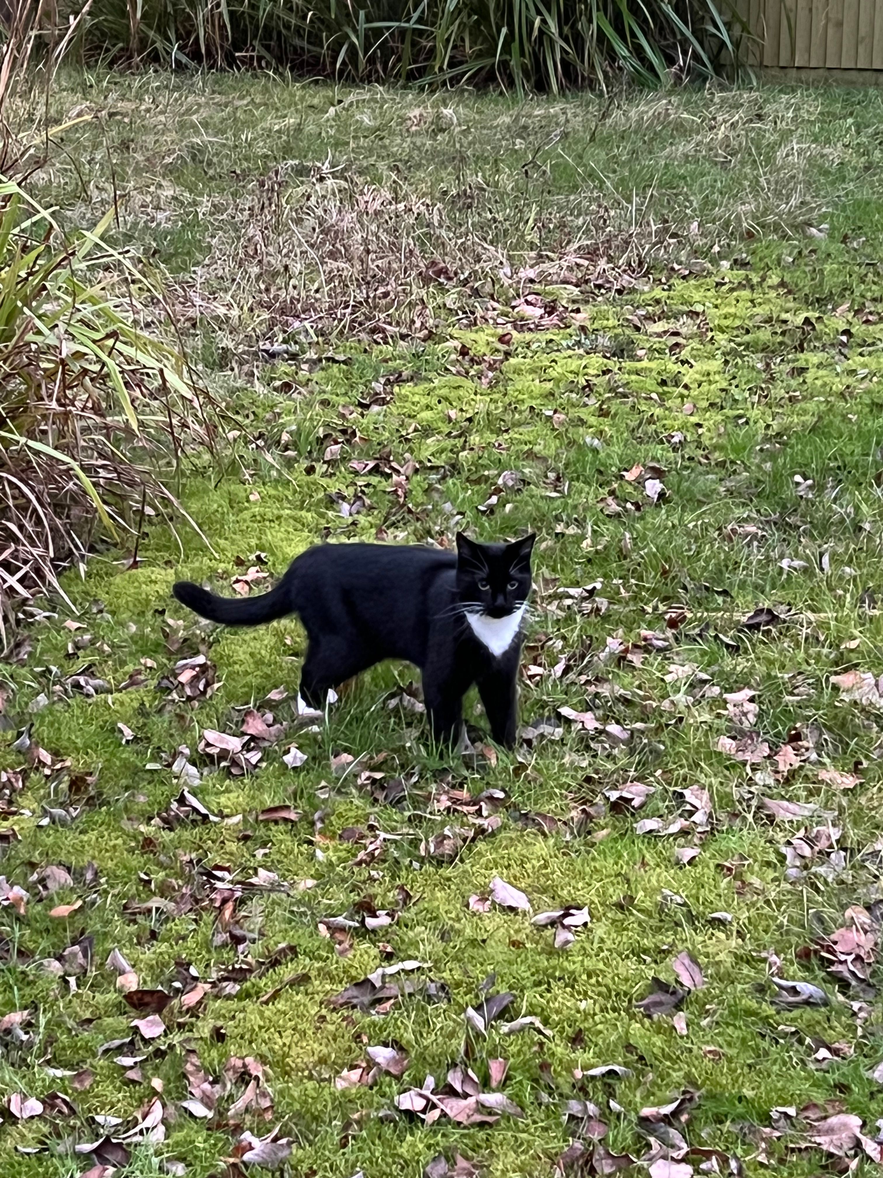 Baxter - Tedder Drive, Lincoln