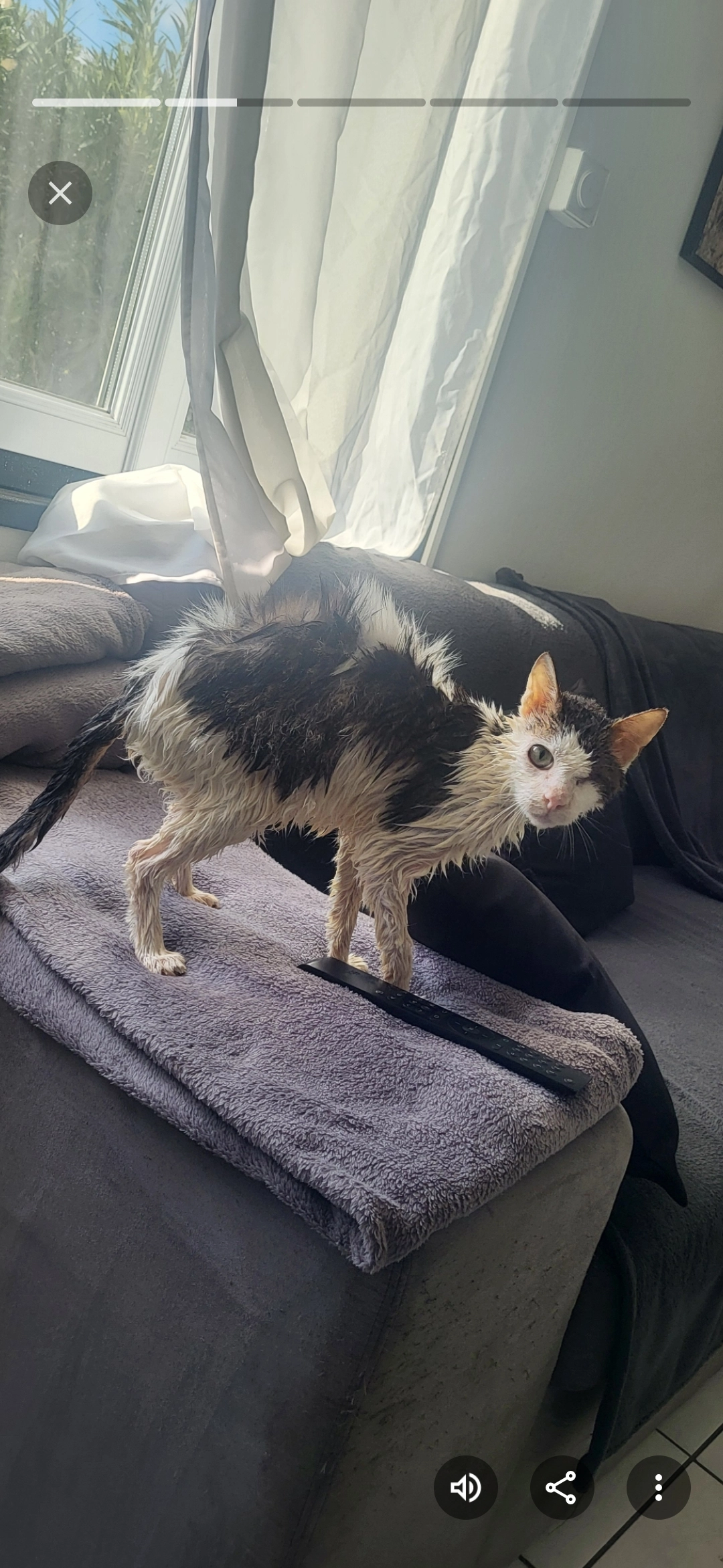 Leon - 21 Avenue des Gramenières, La Fare-les-Oliviers