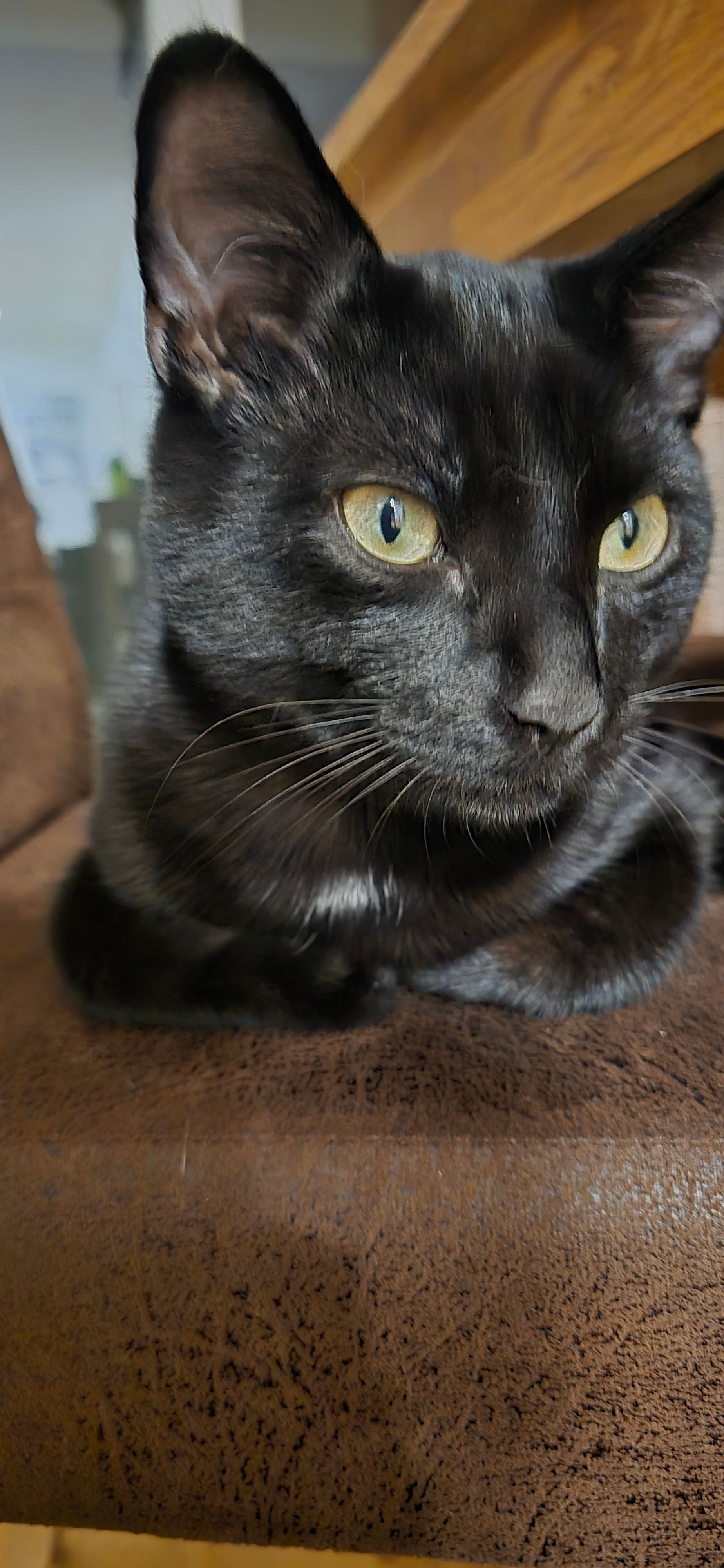 NEGRO - Jesuitenweg 32, Brig-Glis