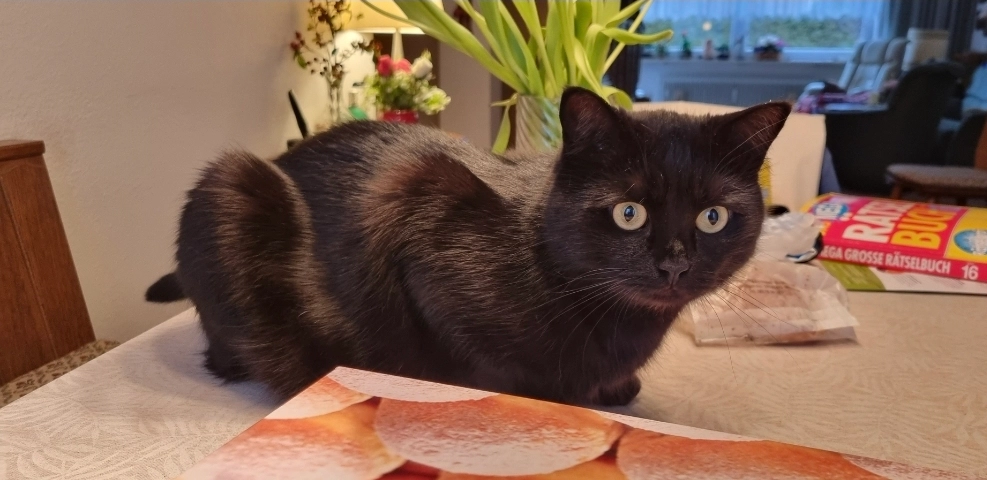 Lucky - Postweg, München