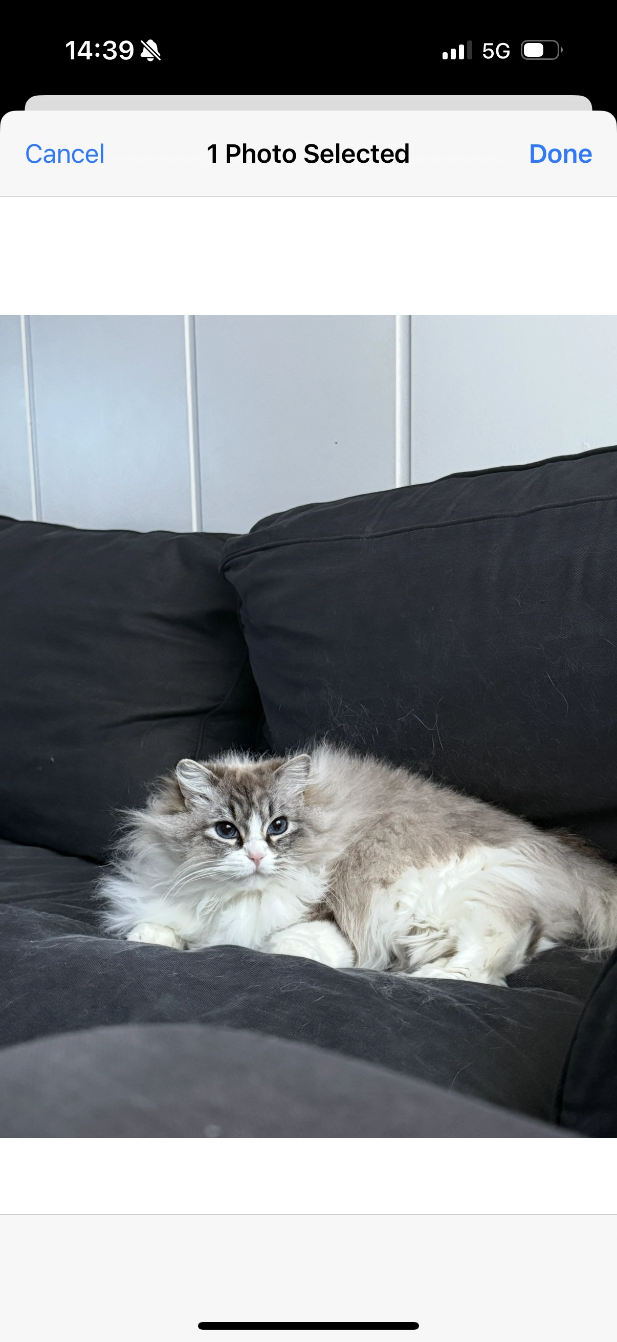 Olivia - Avenida de Odón 10, Villaviciosa de Odón