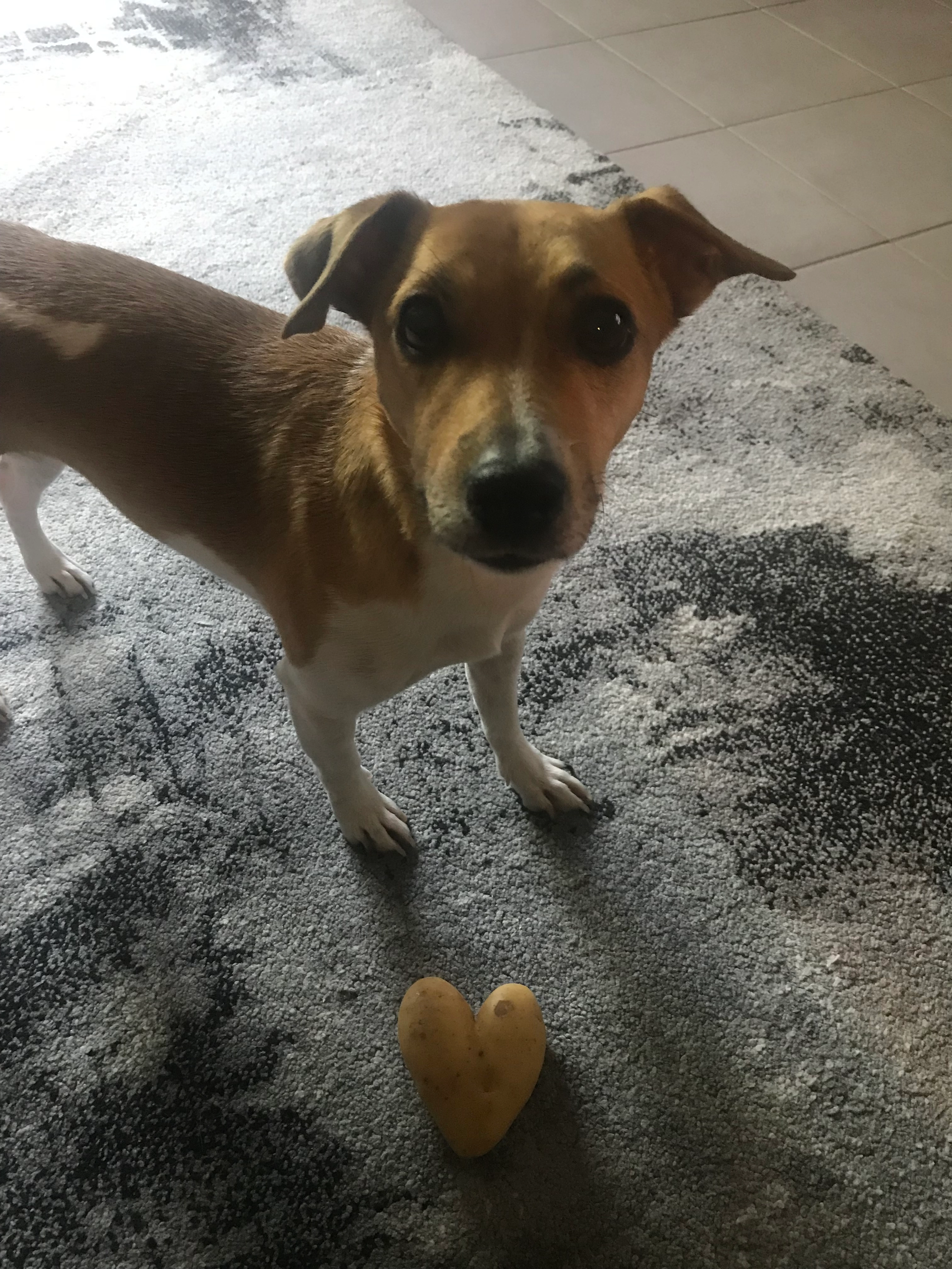 Milky  - 2 Rue Maximilien de Robespierre, Arcueil