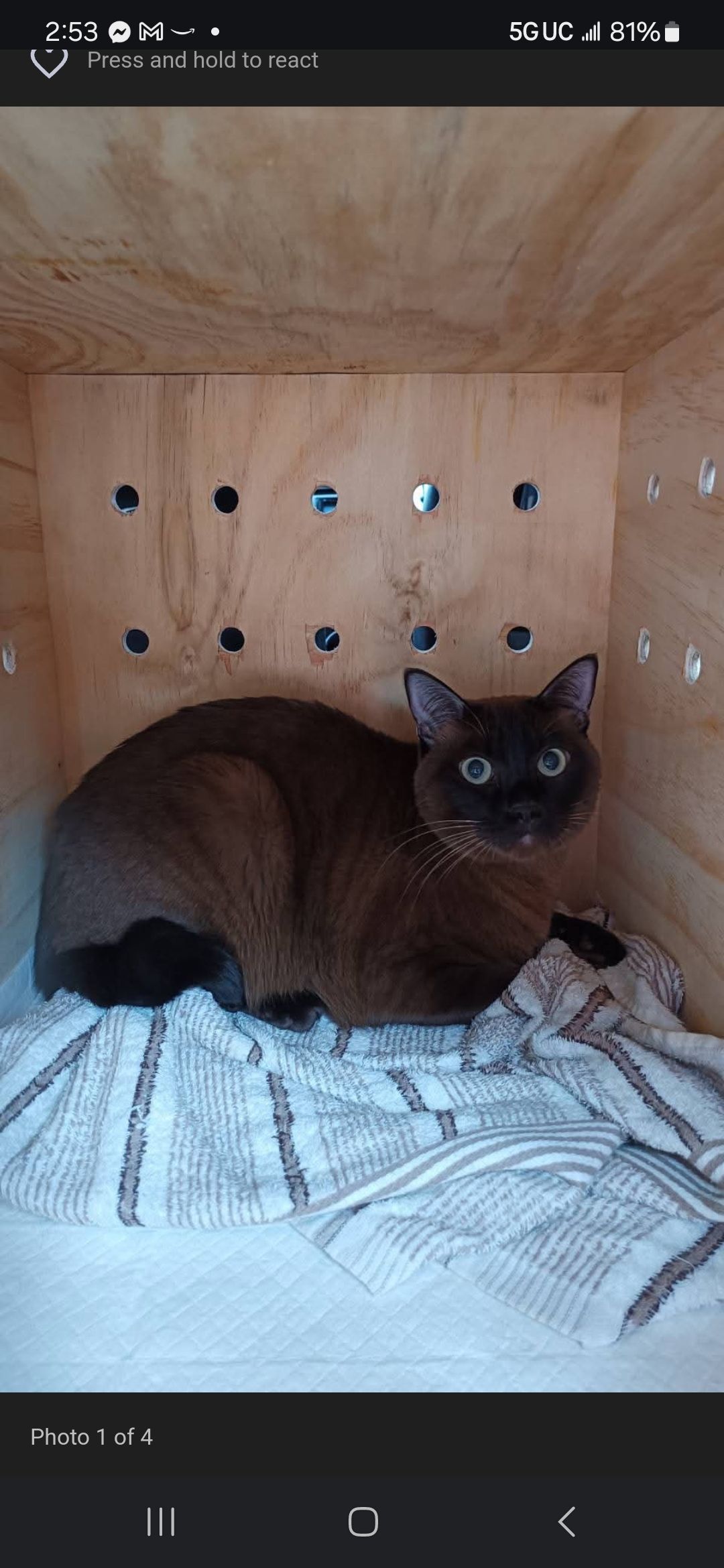 Lucky - 10540, Bang Phli