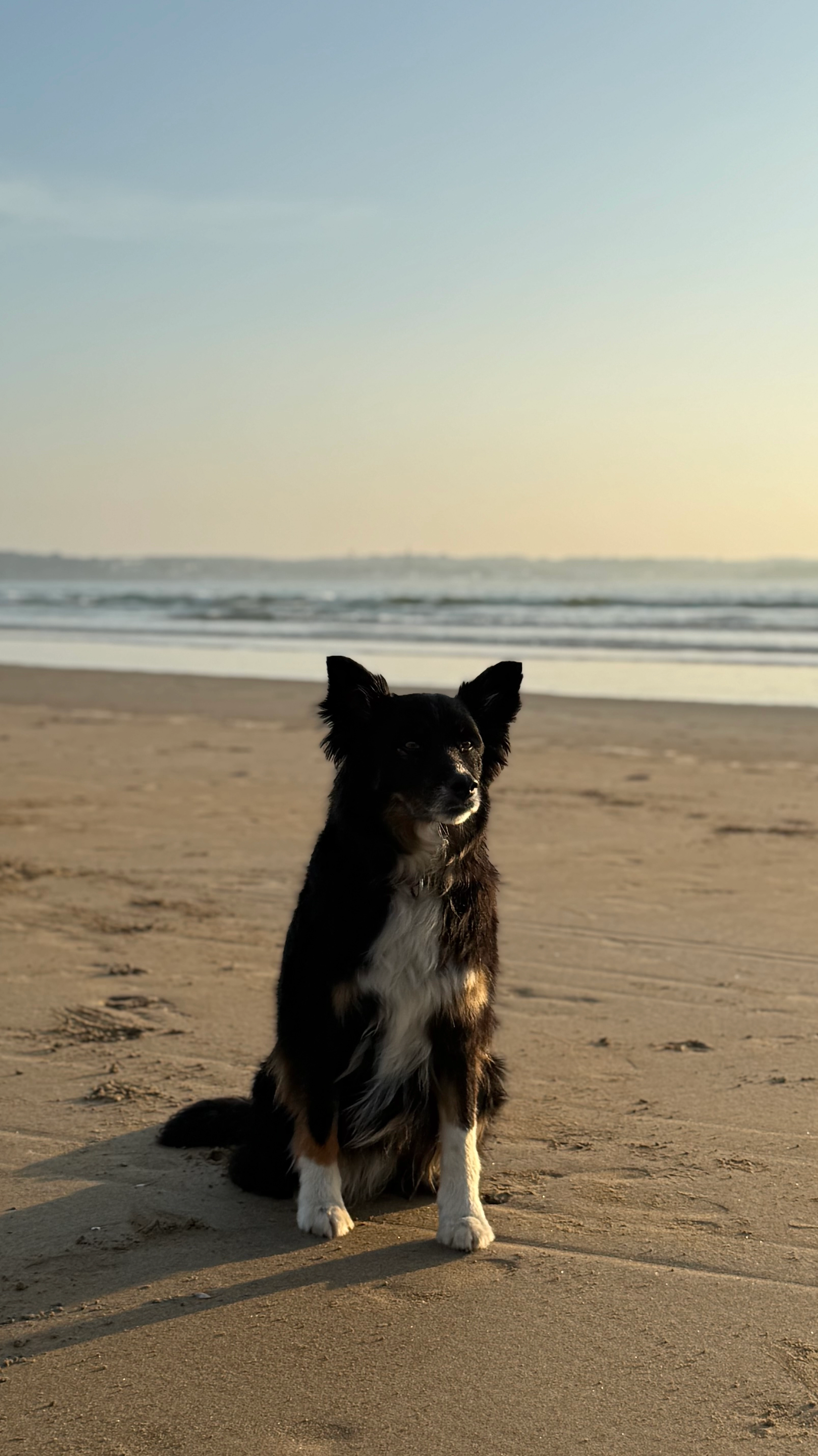 Mimi - Route De Quimper, Plogonnec
