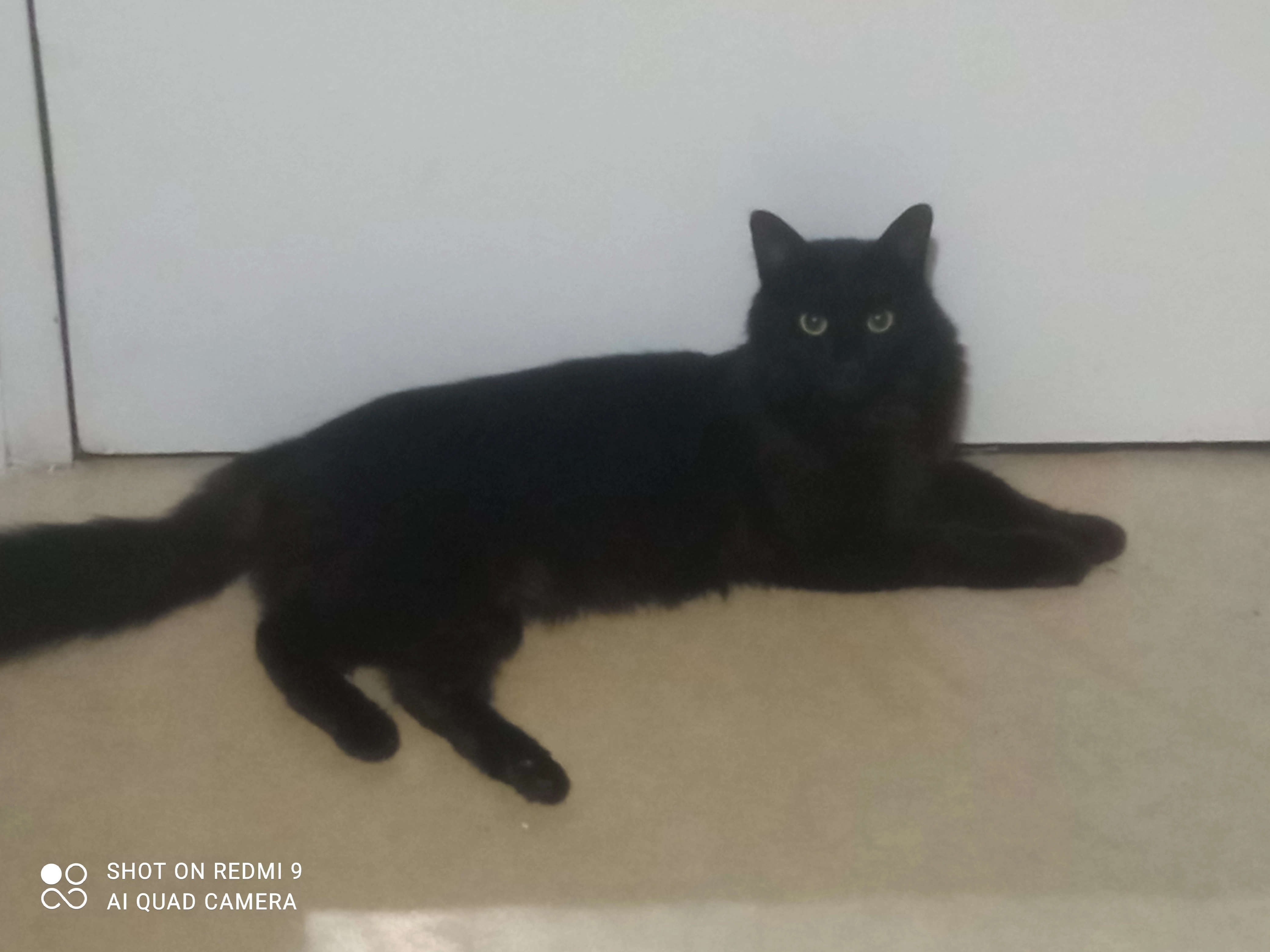 ryn - 18 Route de l'Étrat, Saint-Priest-en-Jarez