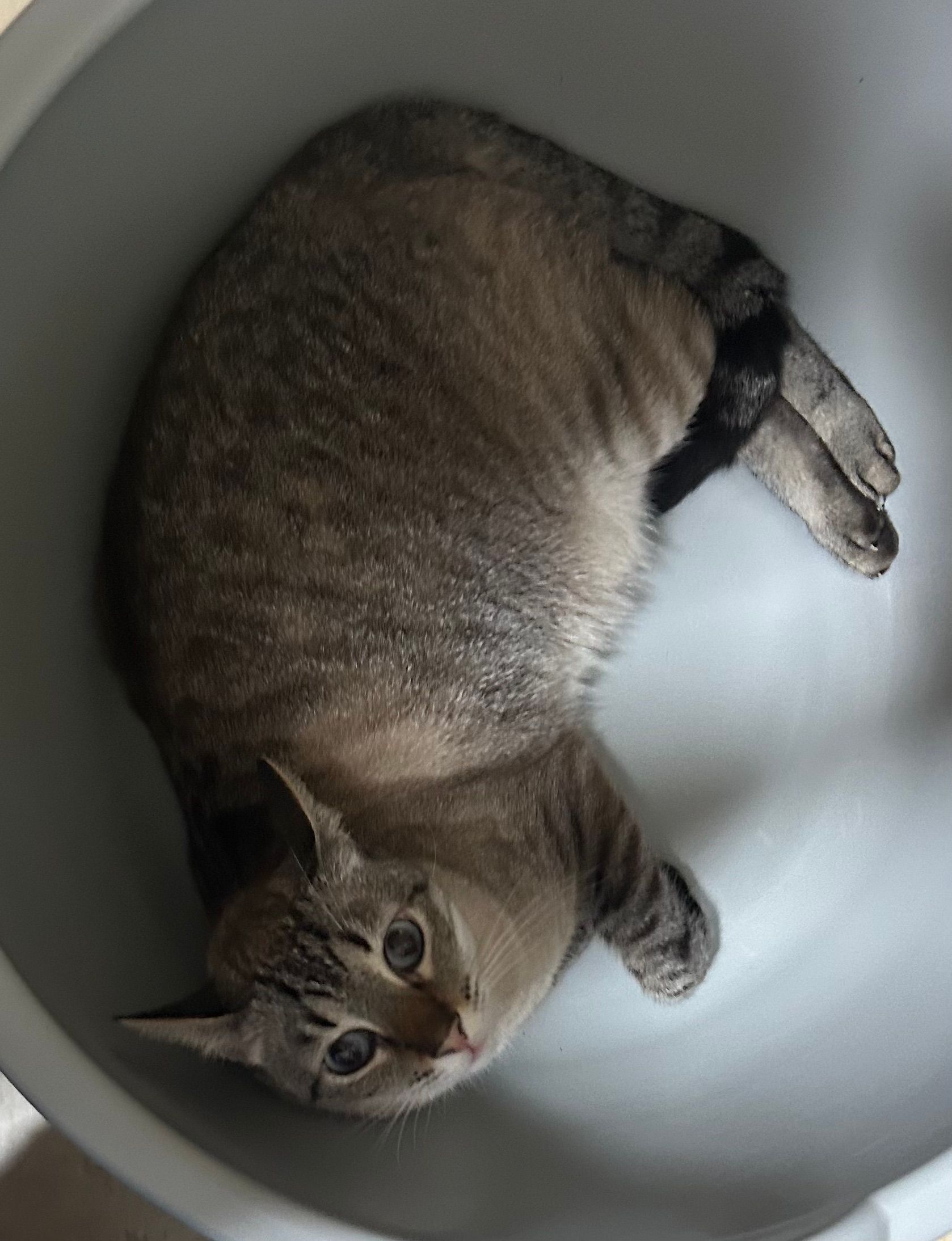 Basu - Rue El Houcine Dkhissi, Agdal