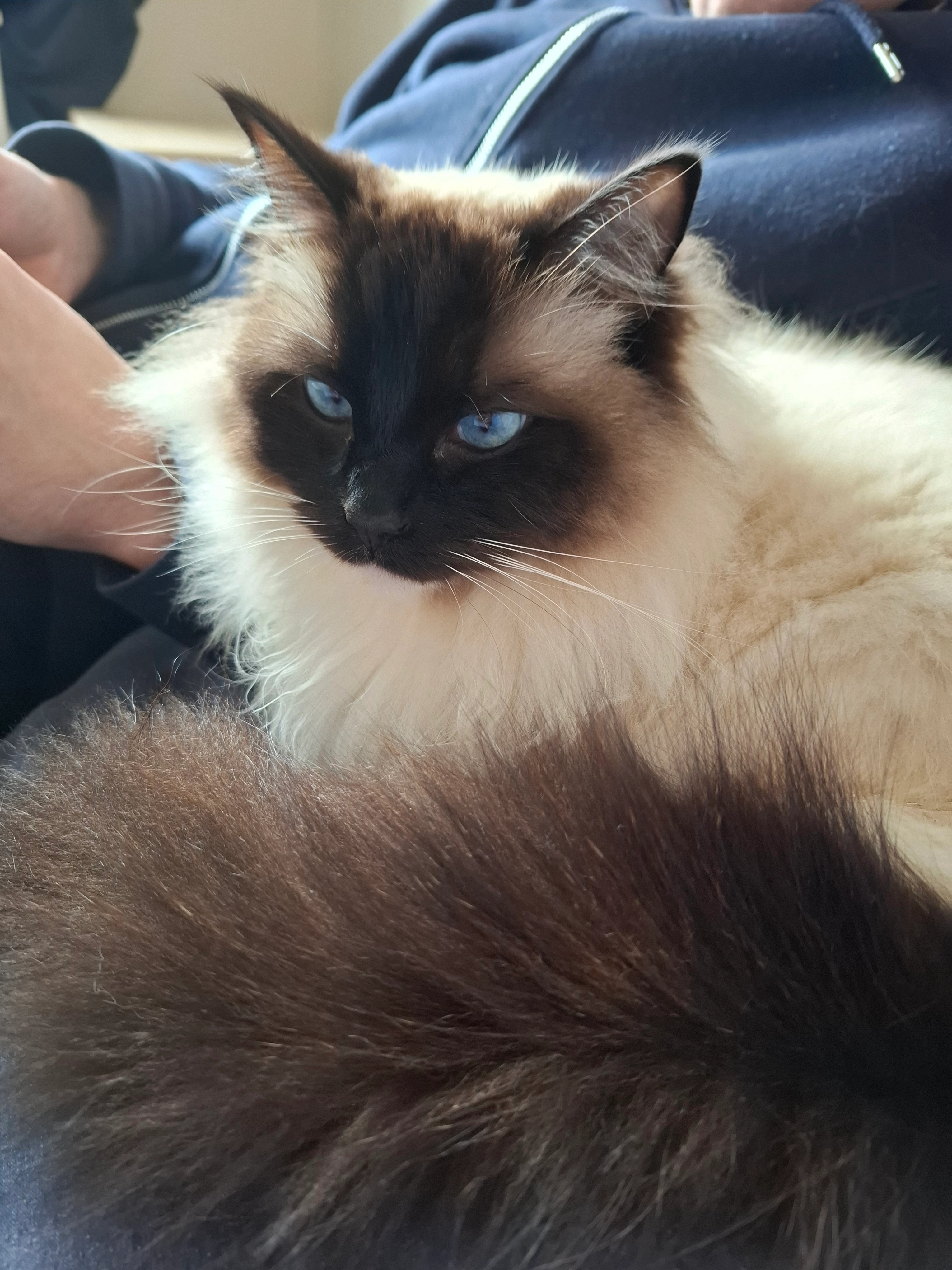 Funtik - Summer Street, Redditch