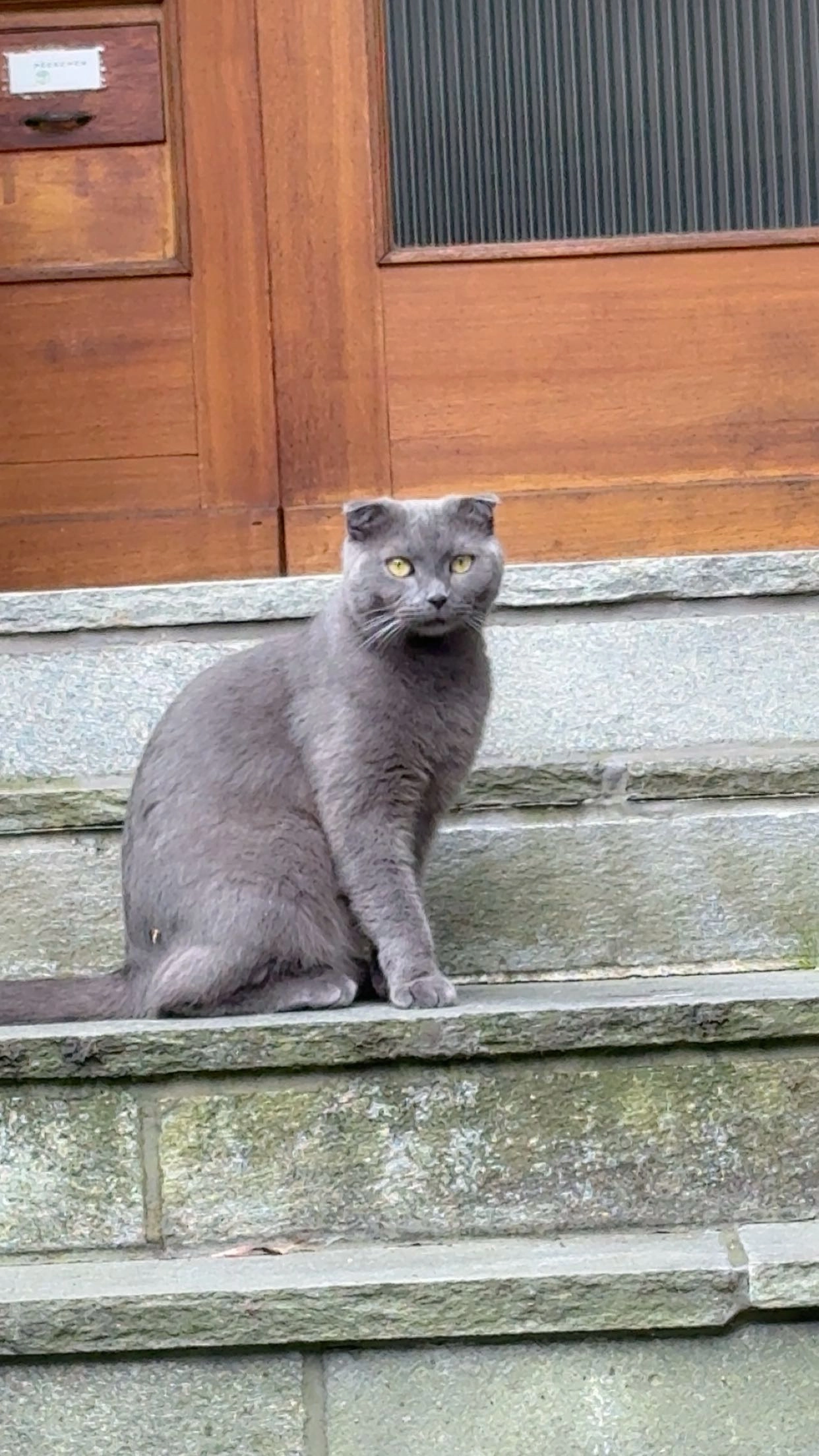 Balu - In den Fürstengärten, Paderborn