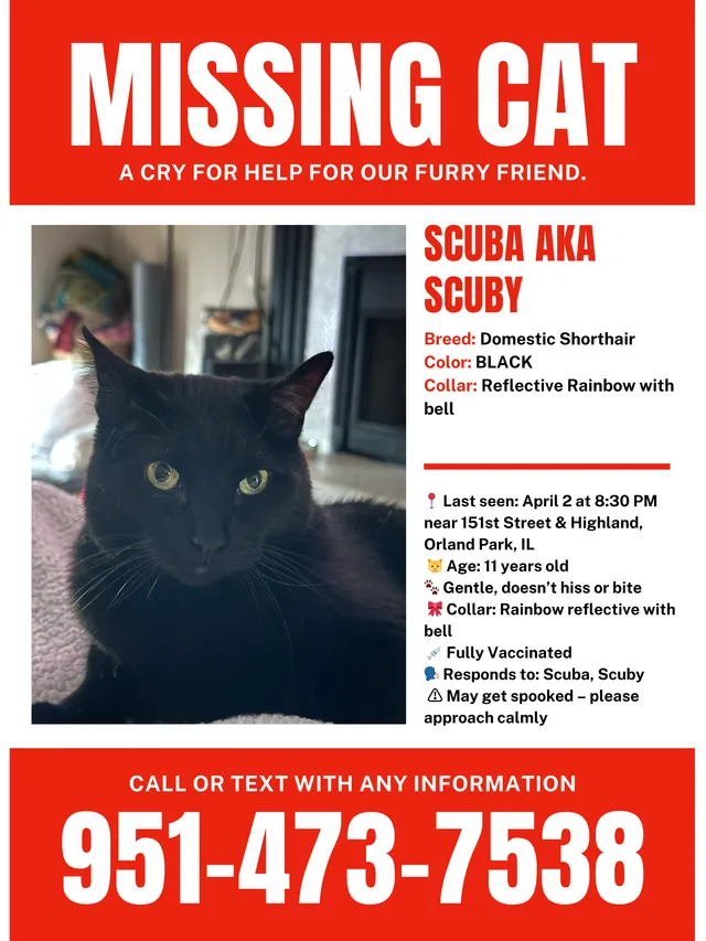 Scuba - W 151st St orland park, Orland Park