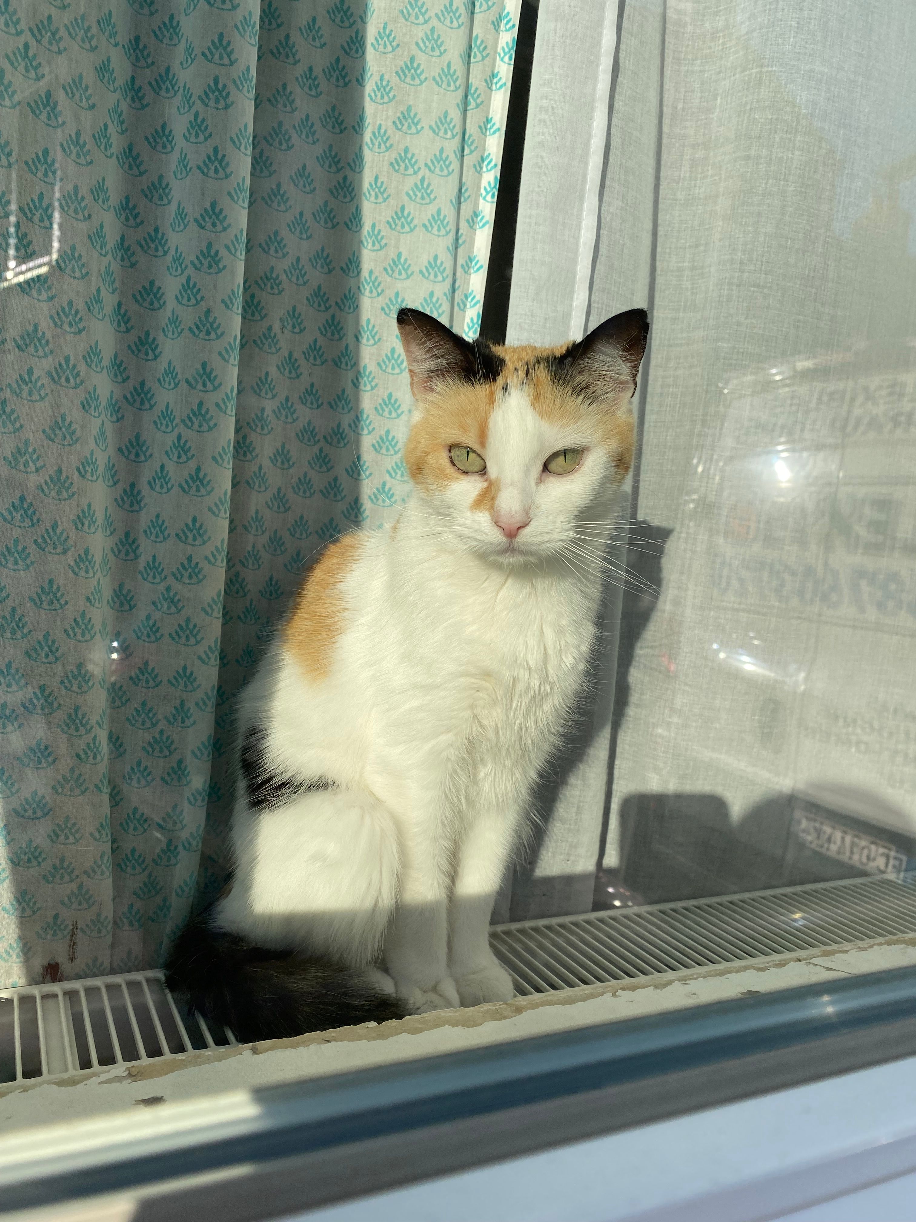 Clochette - Rue Denis Papin, Calais