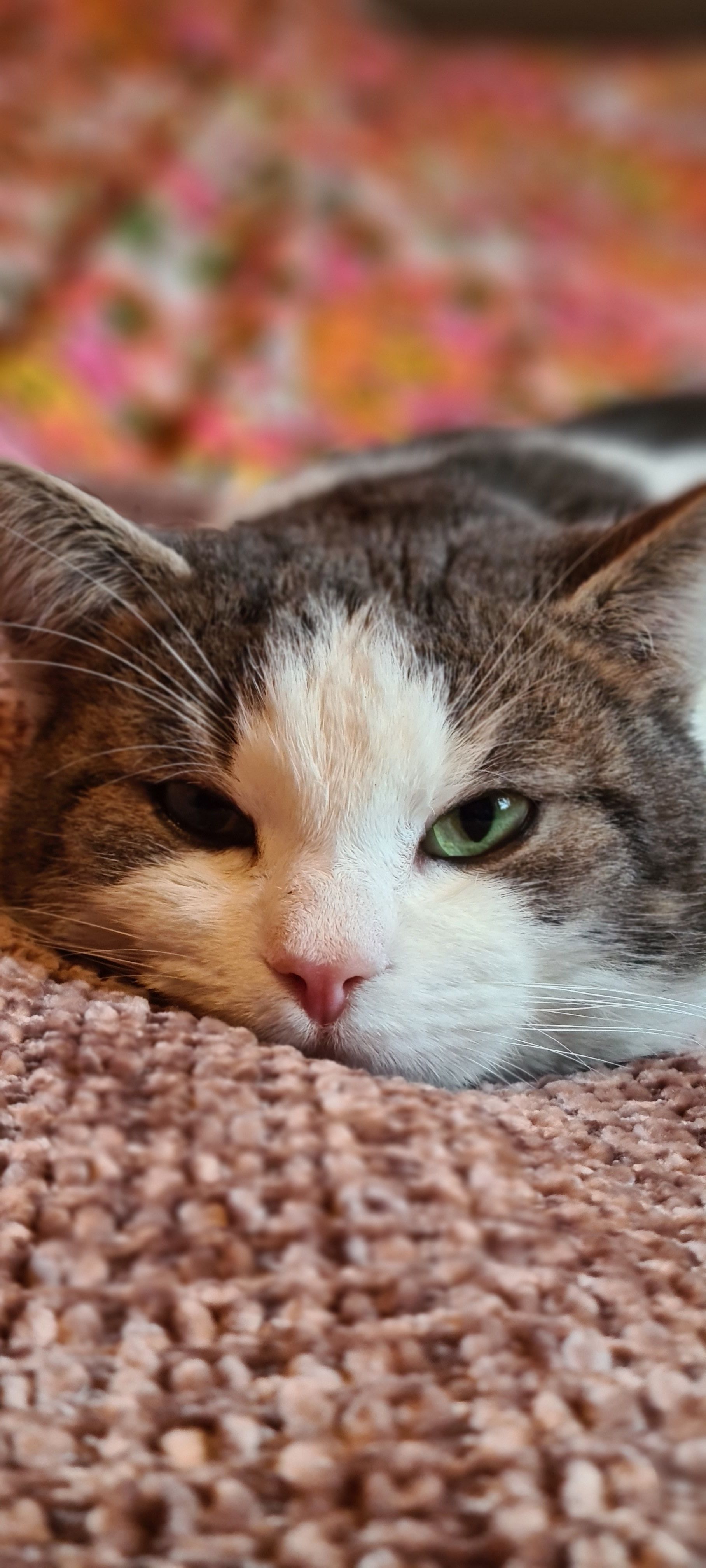 Theodor - Poststraße, Barwedel