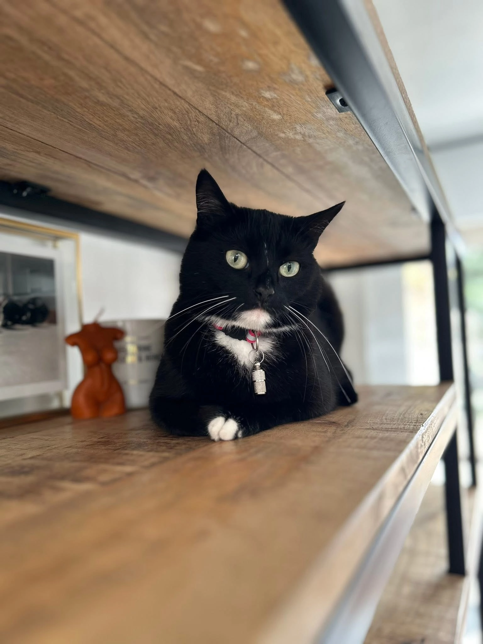 Sok - Monseigneur Kerkhofsstraat 36, Hasselt