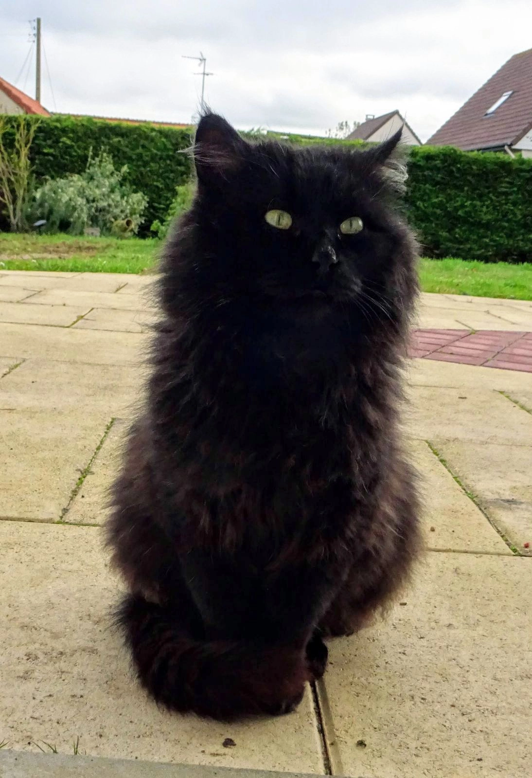 Tibou  - Impasse des Corsaires, Lion-sur-Mer