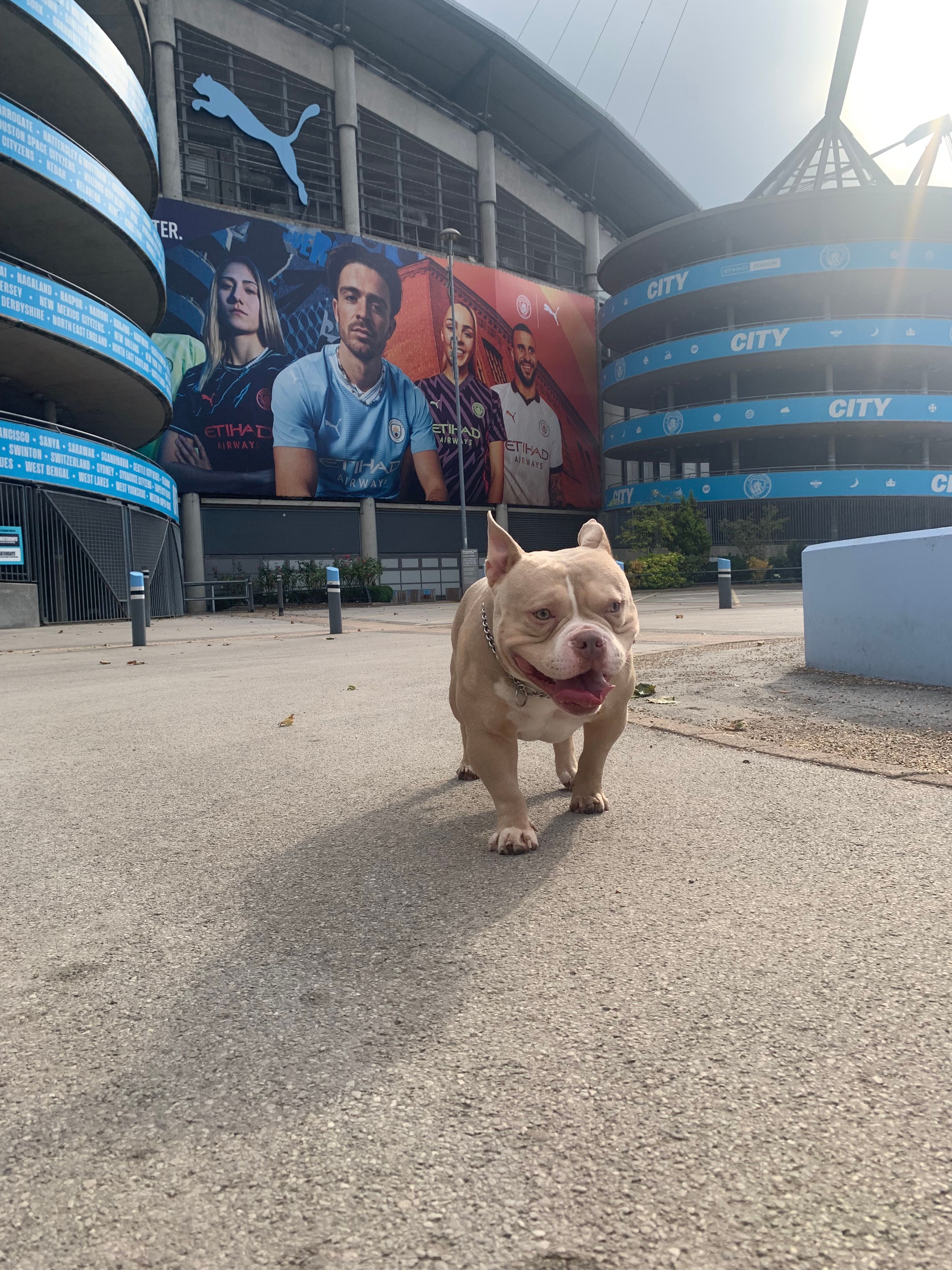 Bronx  - Canal Street, Manchester