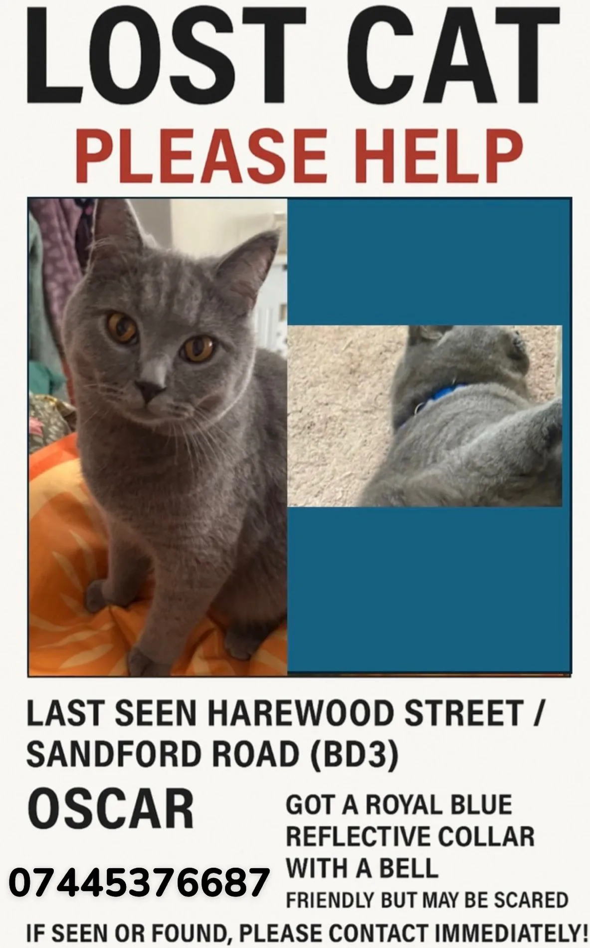 Oscar - Sandford Road, Bradford