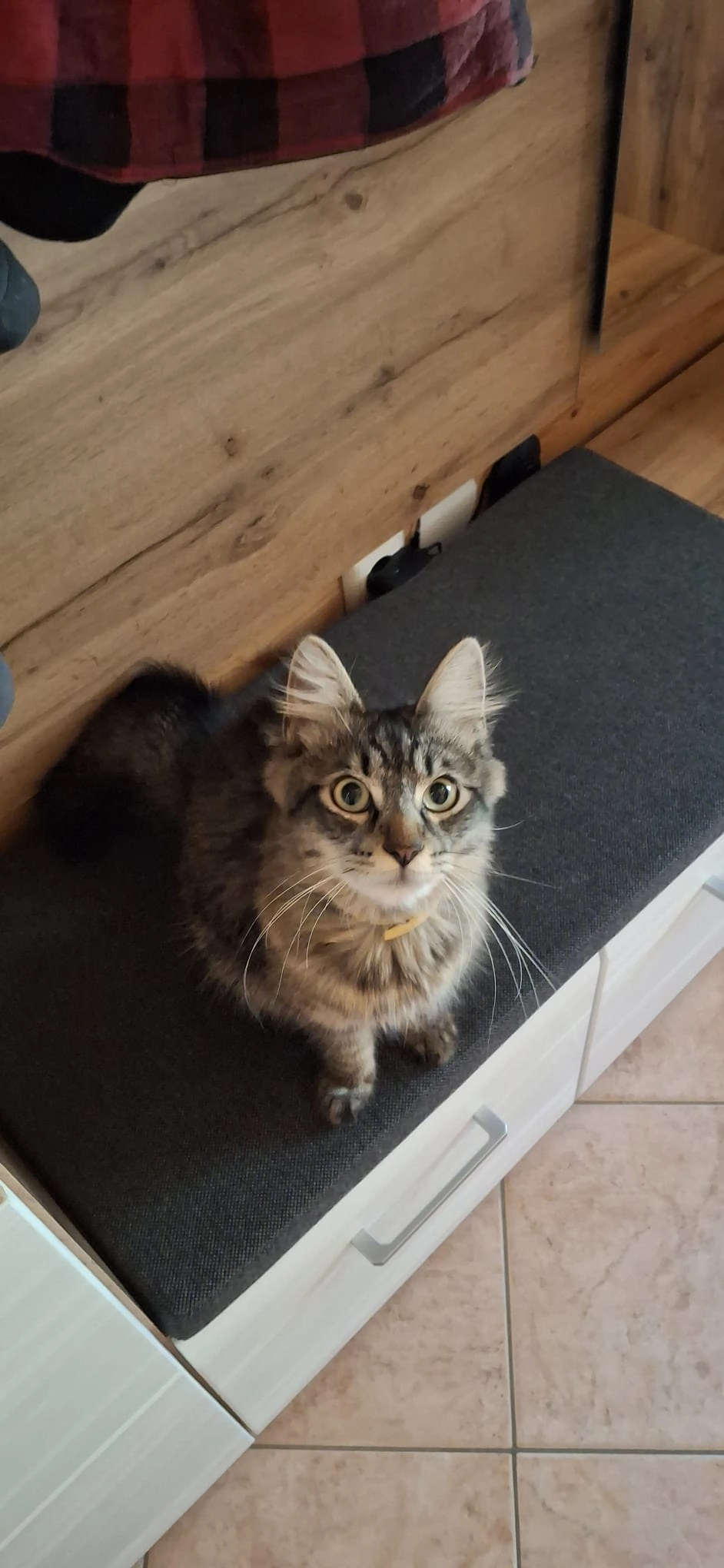 Leon - Mayrhof, Mayrhof