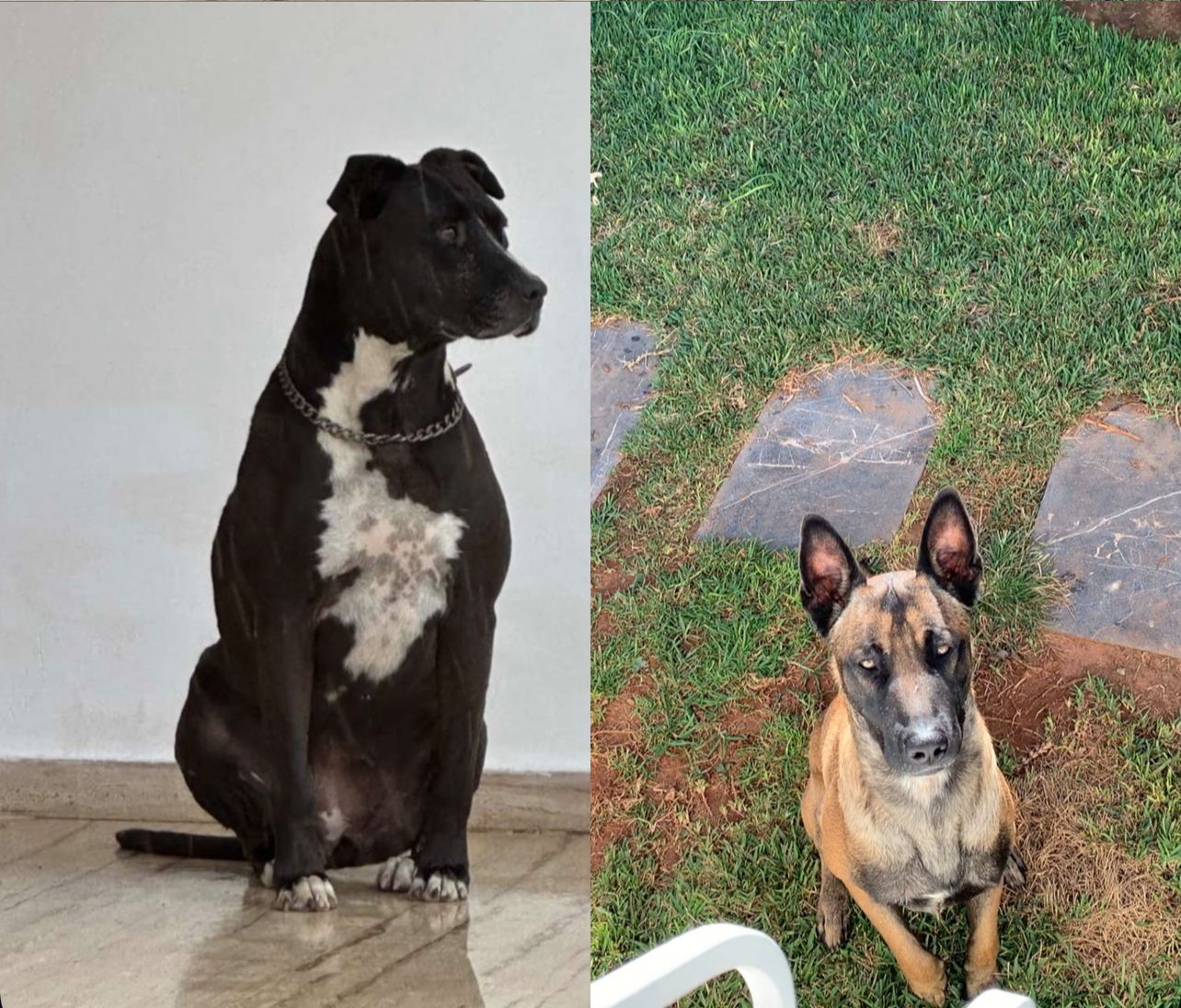 Neus & Kyle - Avenue Addolb, Rabat, Hay Riyad