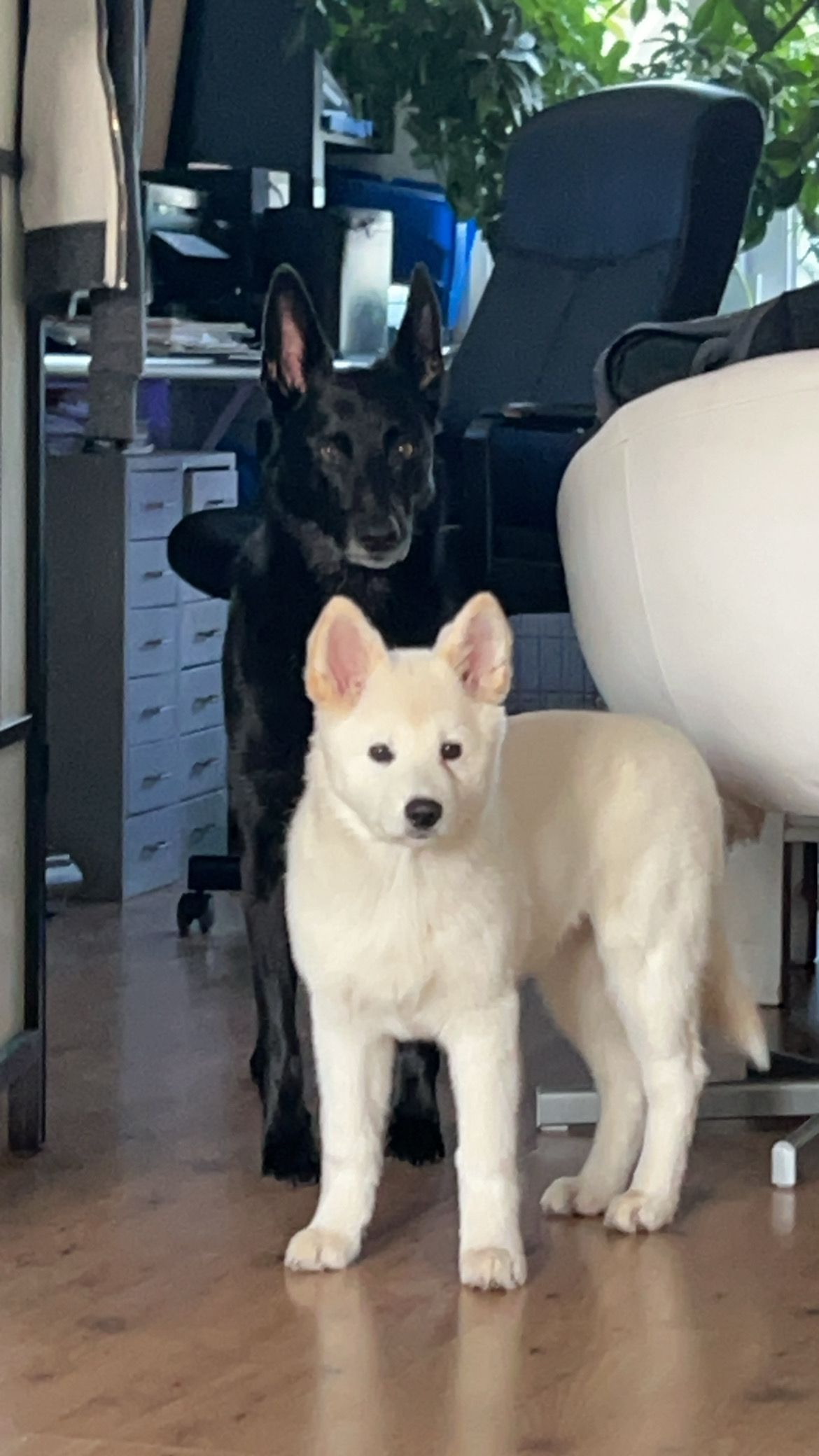 Yuna  - Strand Noord, Den Haag