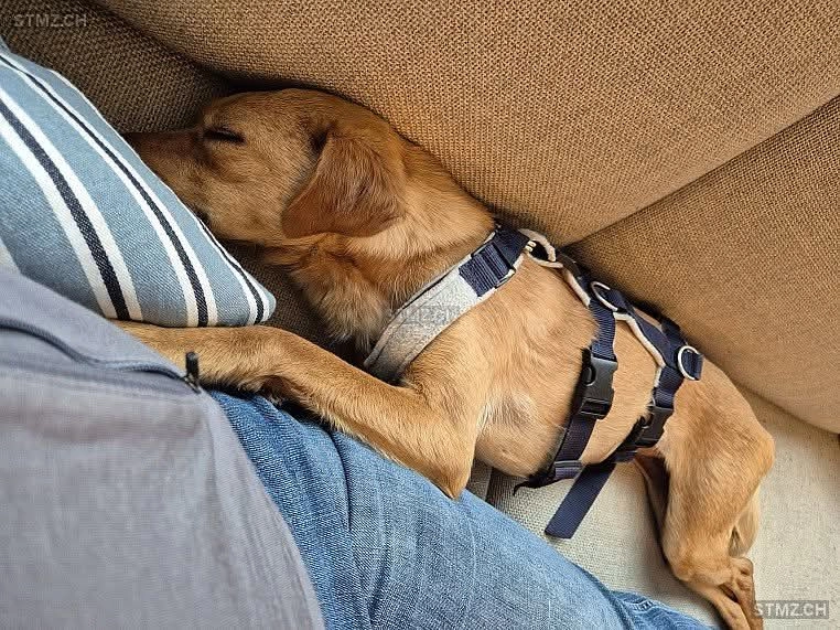 Ella - Rellikerstrasse, Mönchaltorf