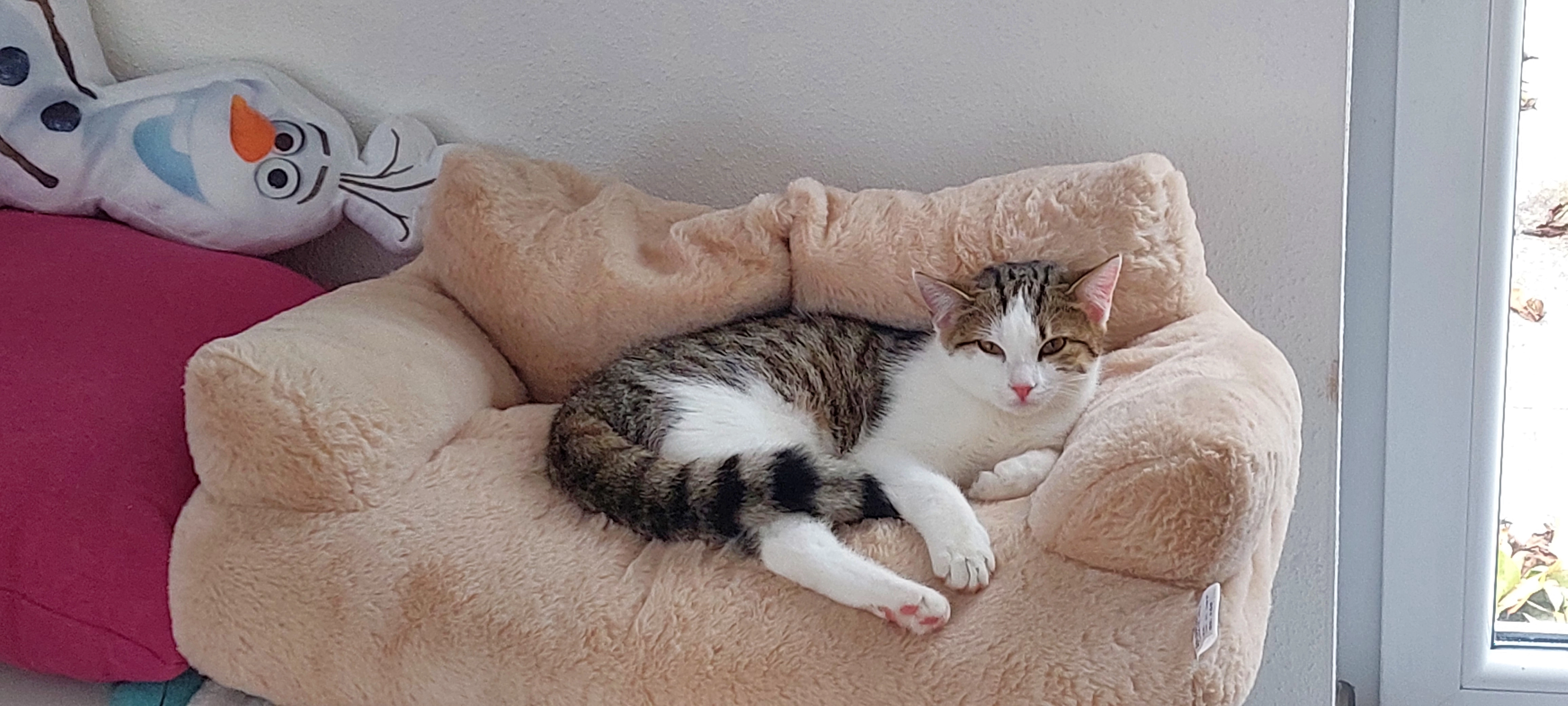 Luna - In Der Mark, Igensdorf