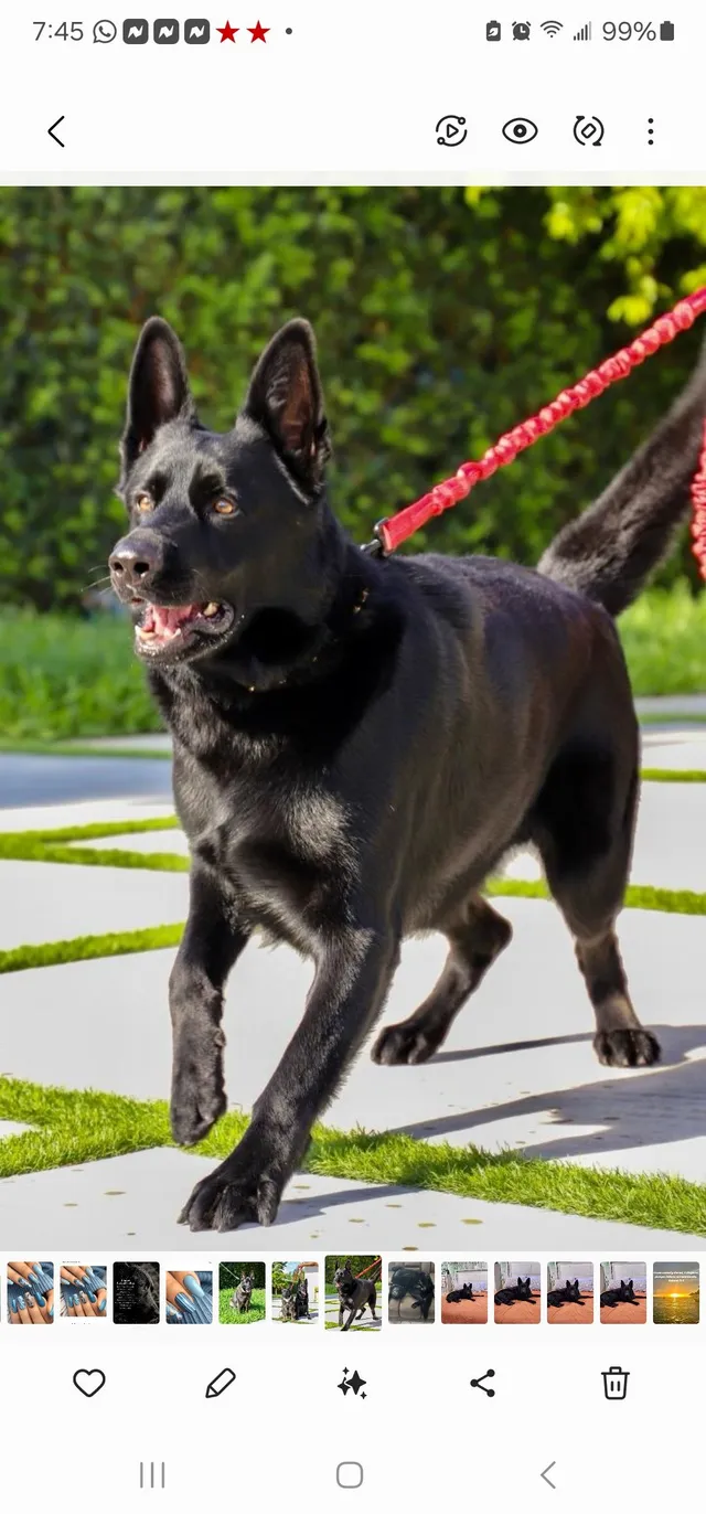 Rocco - Northwest 53rd Avenue, Miami Gardens