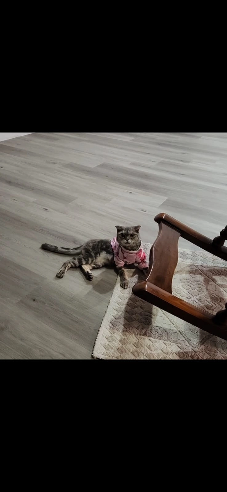 Kitty - Choa Chu Kang Central, Singapore