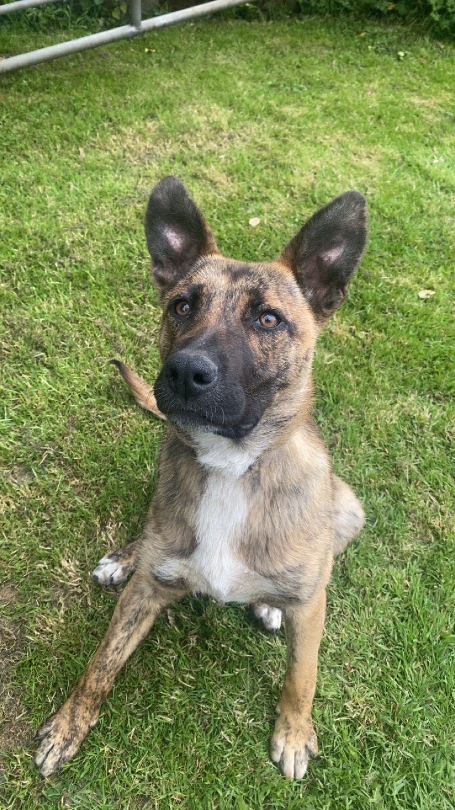 Cali - bunmahon, waterford