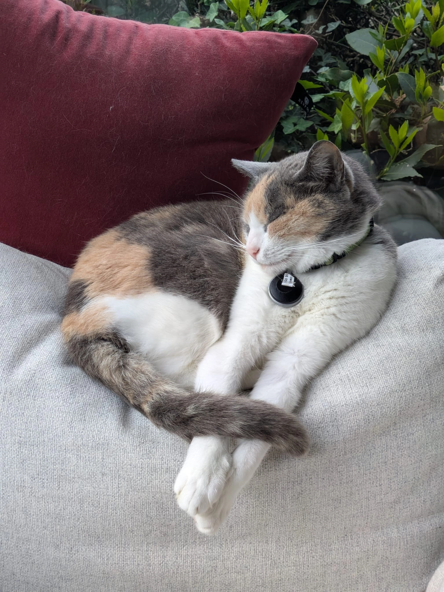 Flower - 90 Impasse de Trévin, Mesquer