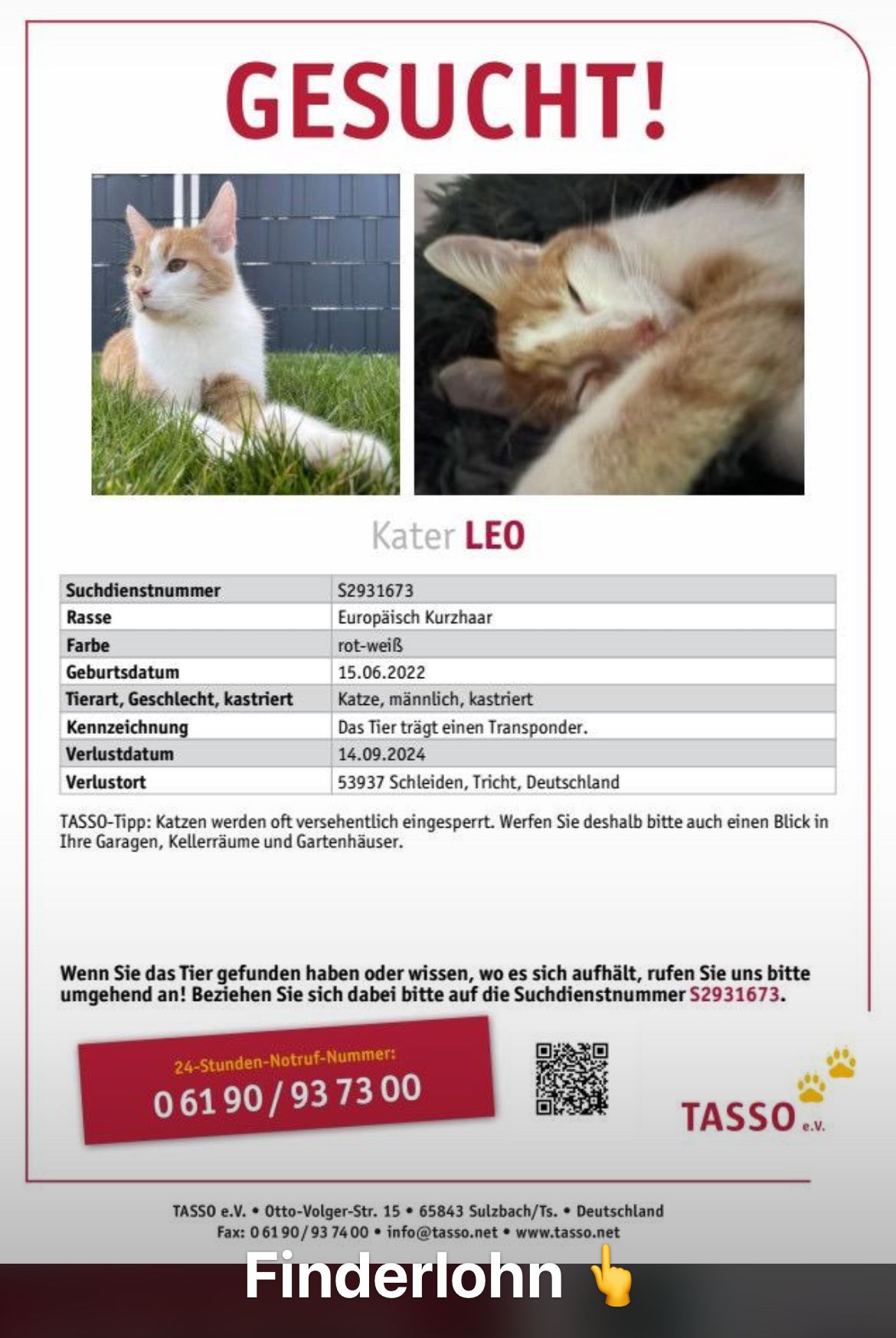 Leo - Tricht, Schleiden