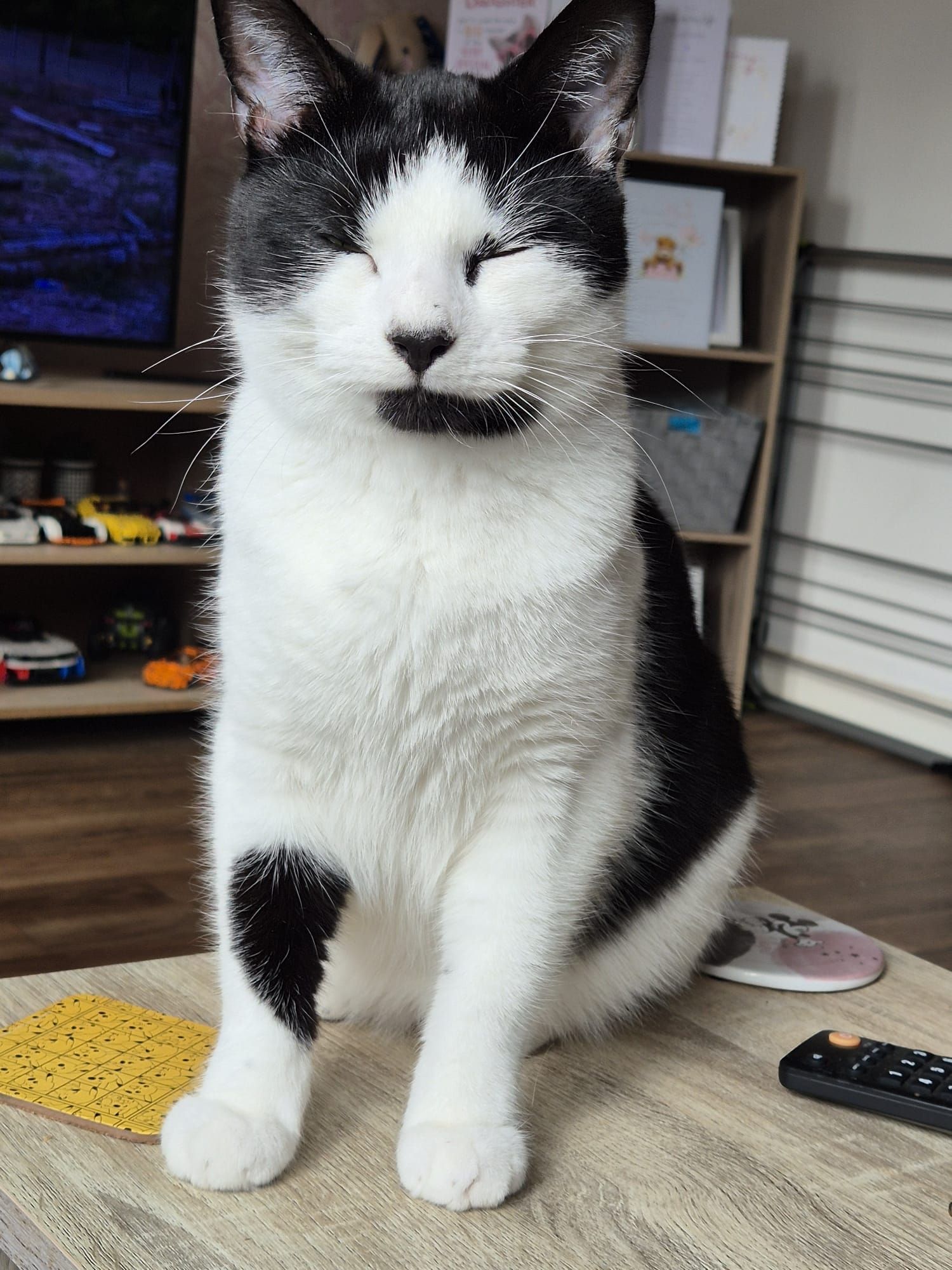 Binx - Stirling Way, Thatcham