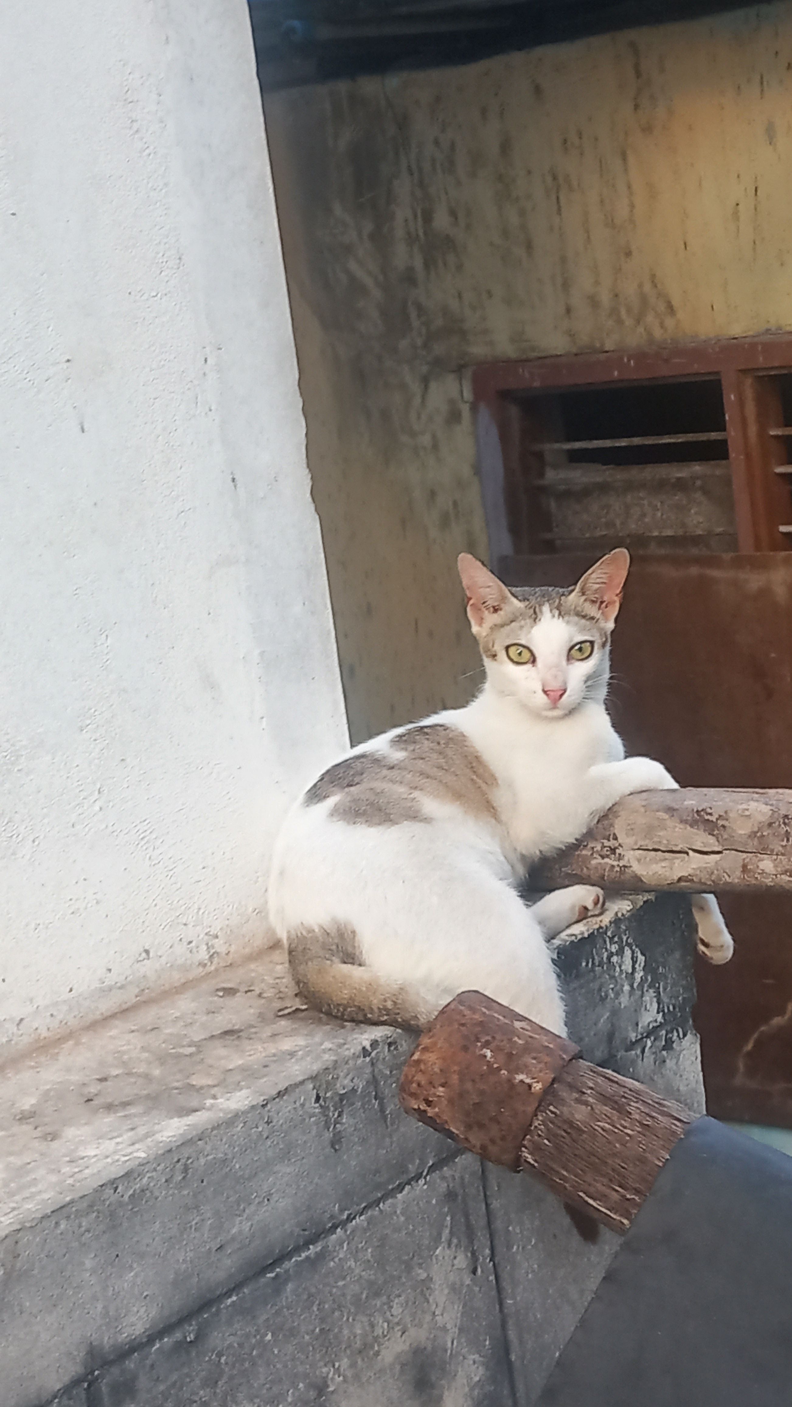 Lara - Mangalathu Nagar112A, Punthalathazham Kollam - Ayoor Road, Kollam