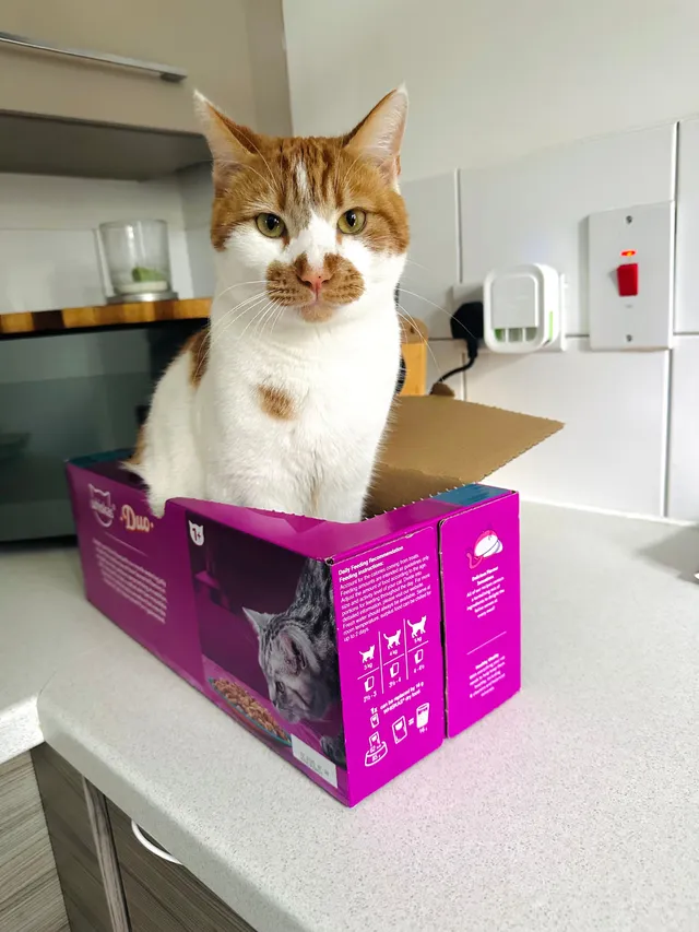 Otis - Mayfair Place, Southend-on-Sea