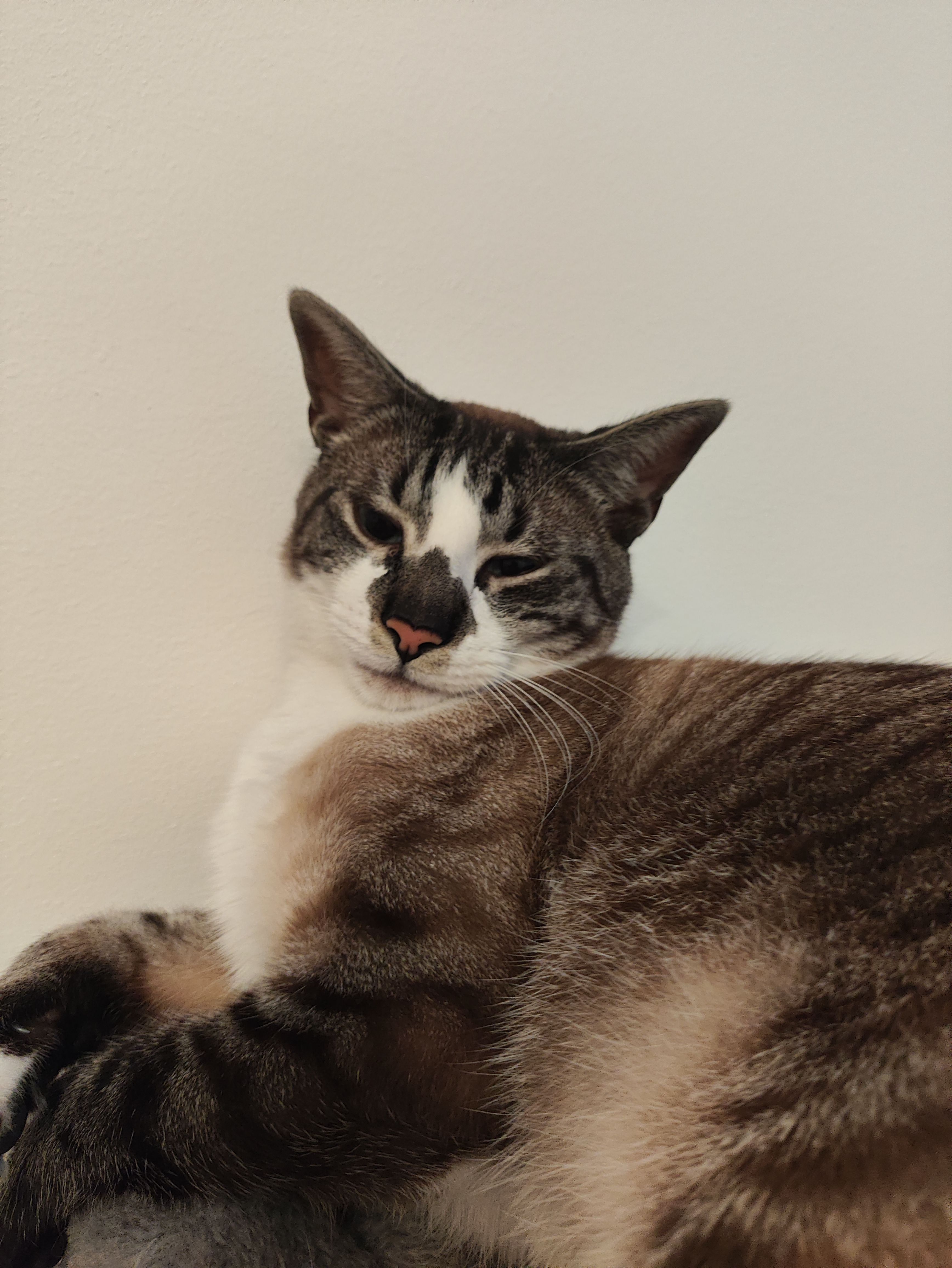 Osy - Rua de Ary dos Santos 47, Almada