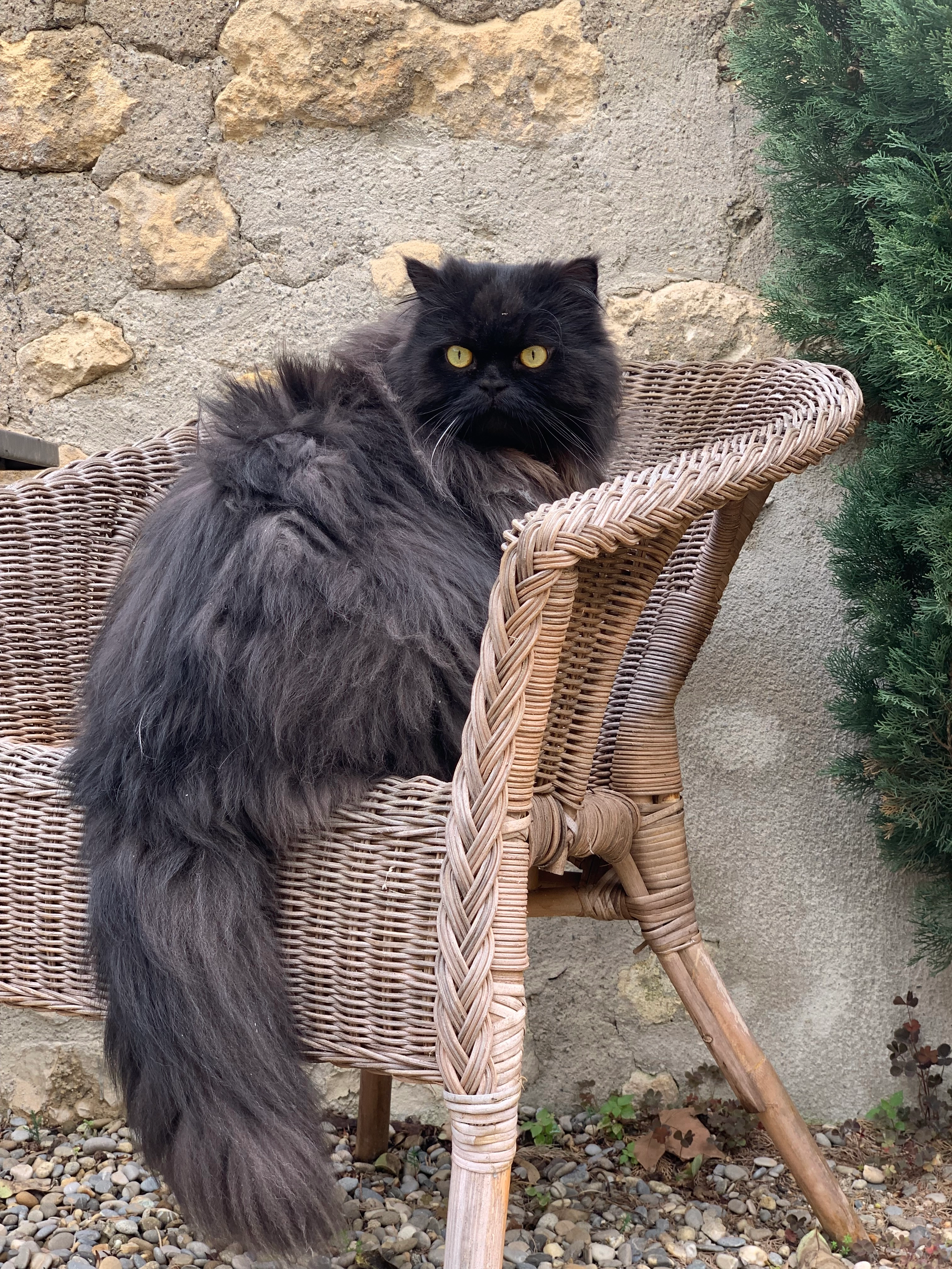 Léon - 2 Boulevard de l'Égalité, Saint-Étienne-du-Grès