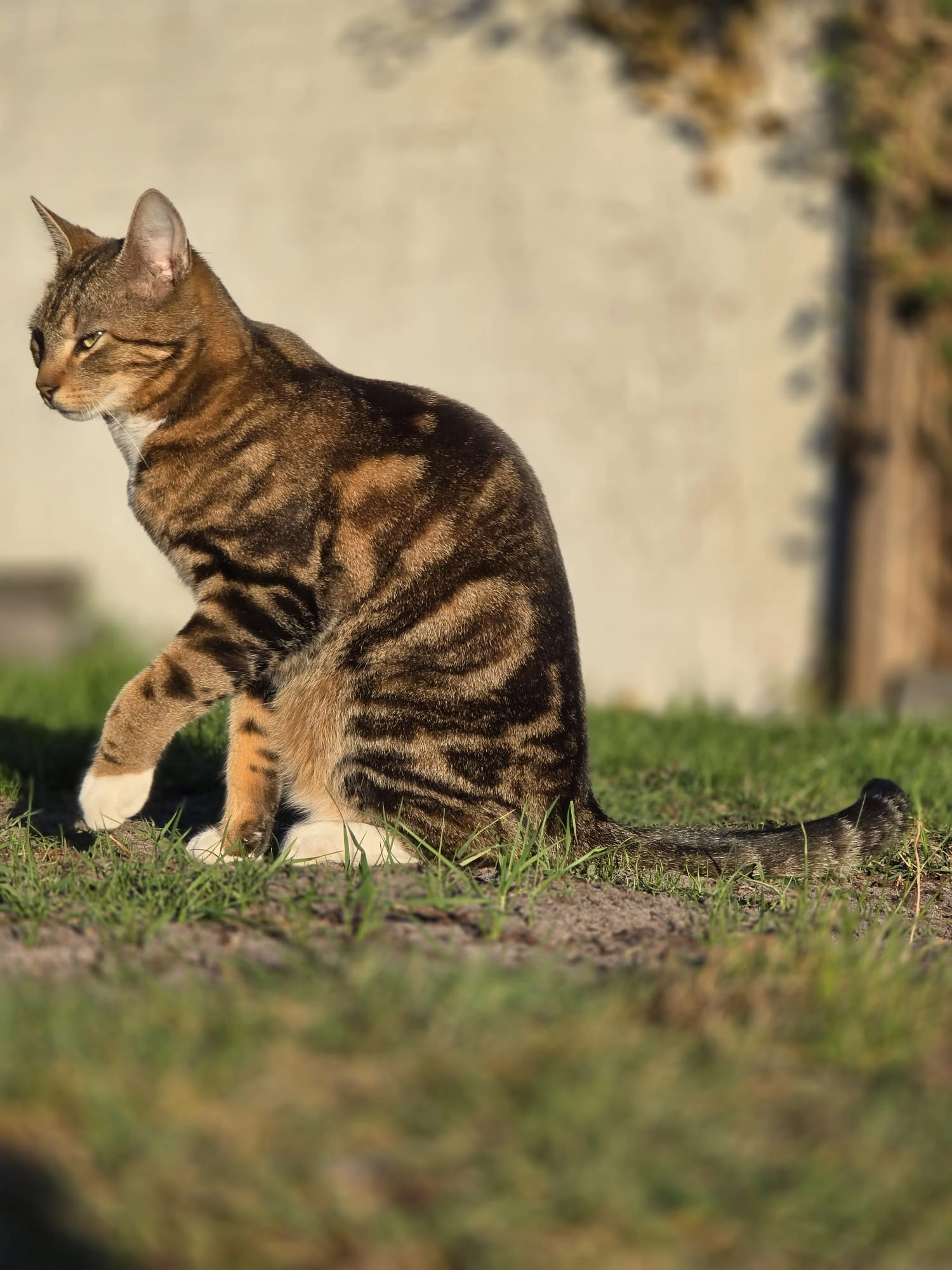 Tai - Im Rehwinkel, Osterholz-Scharmbeck