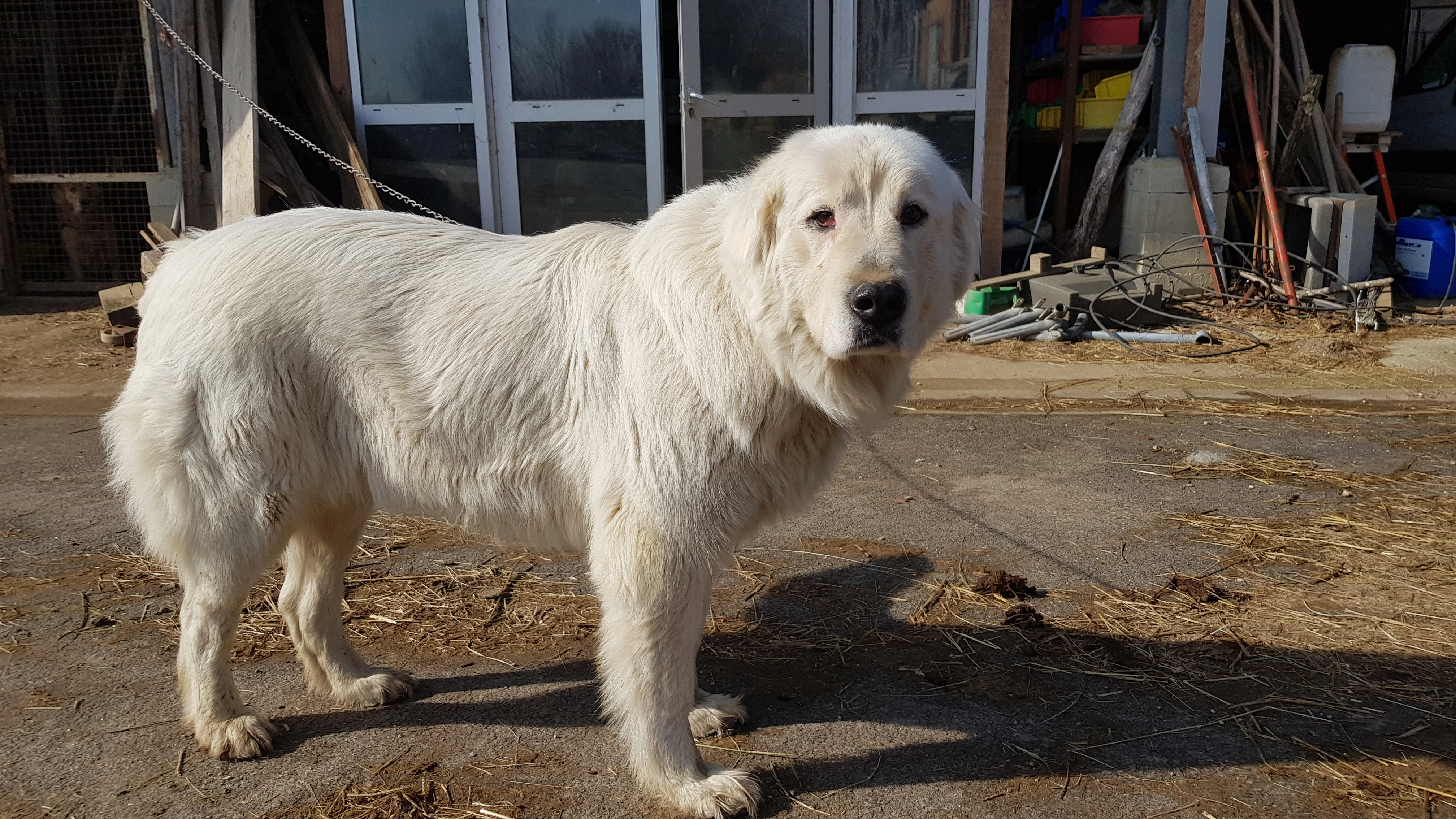 Belle - Chemin Du Mont, Saint-Denis-lès-Bourg