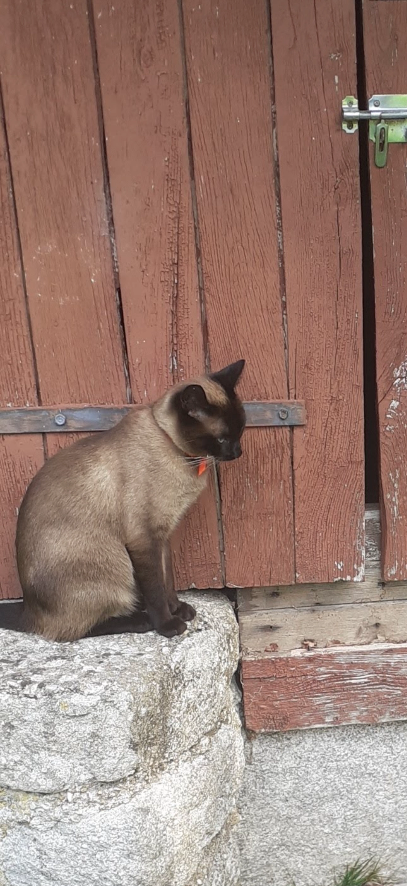 Ramses - La Polka, Quédillac