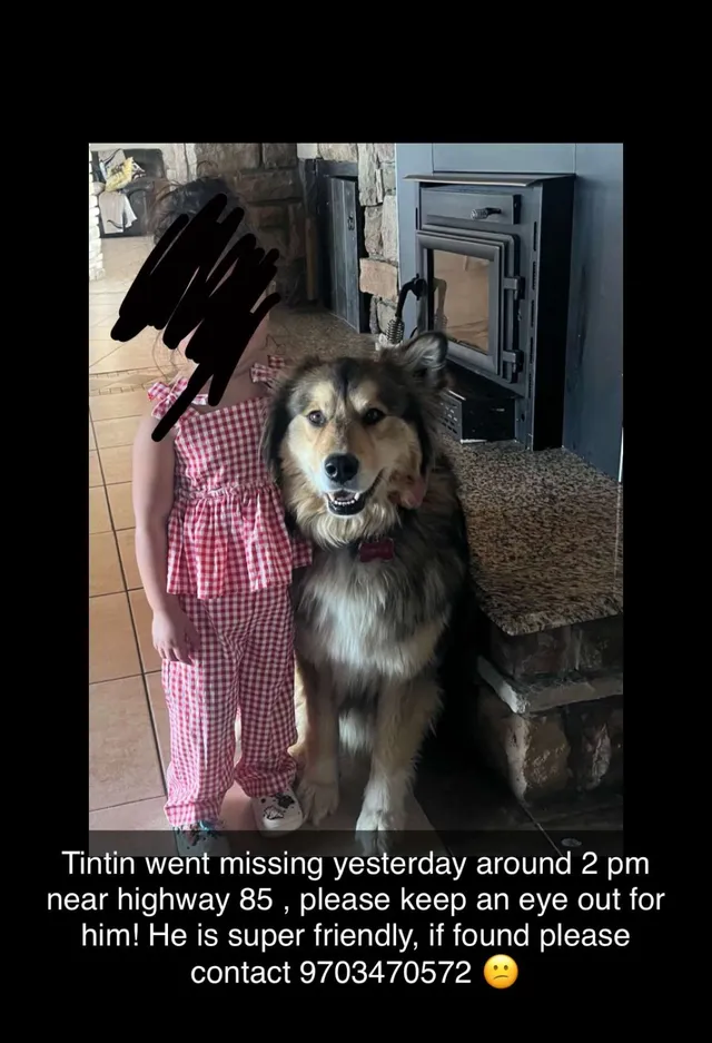 Tintin - 1201 N 1st Ave, Greeley