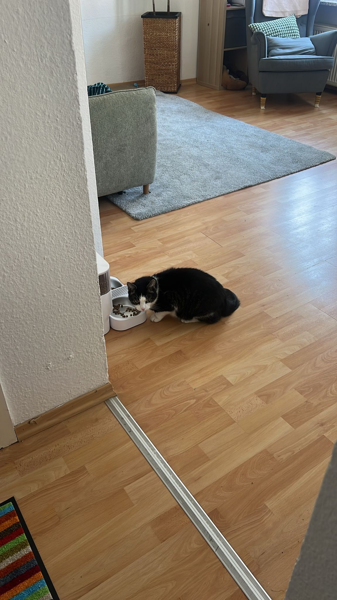 Moritz - Josef-Ries-Straße, Erfurt