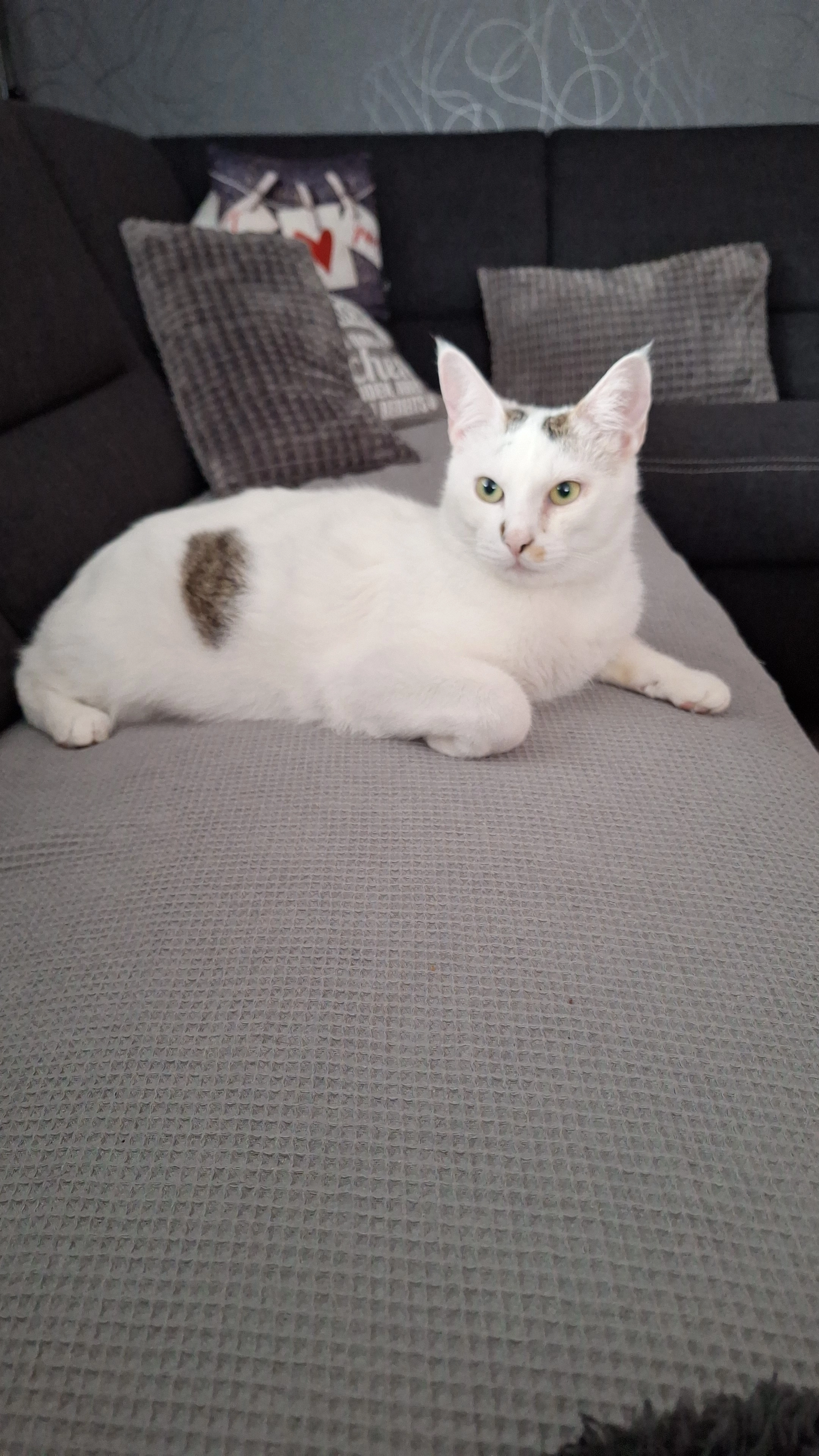 Mogli - Jagdsteig, Lichtenfels