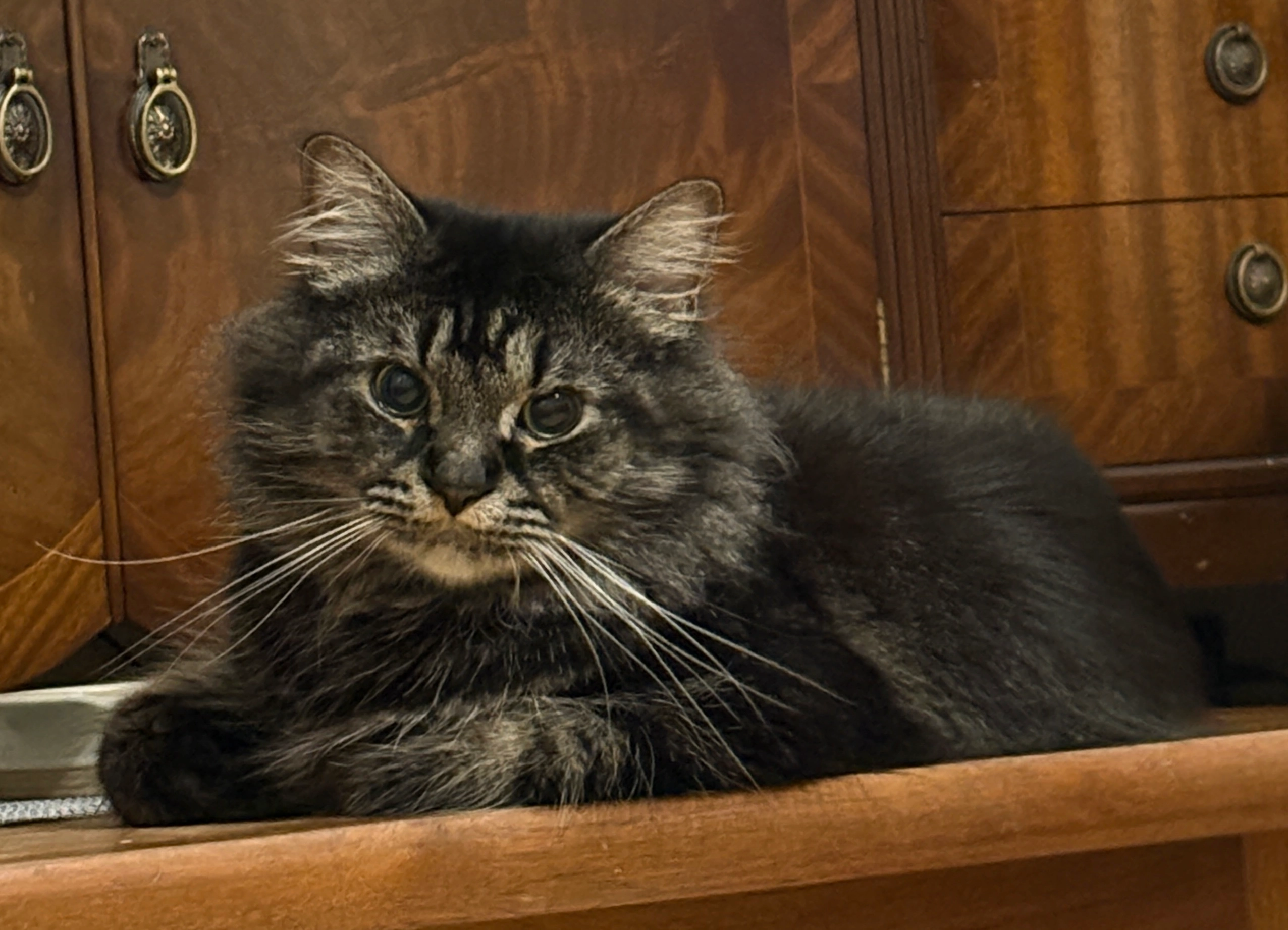 Lenny - Flat 39, Oakington, Eureka Road, Kingston upon Thames