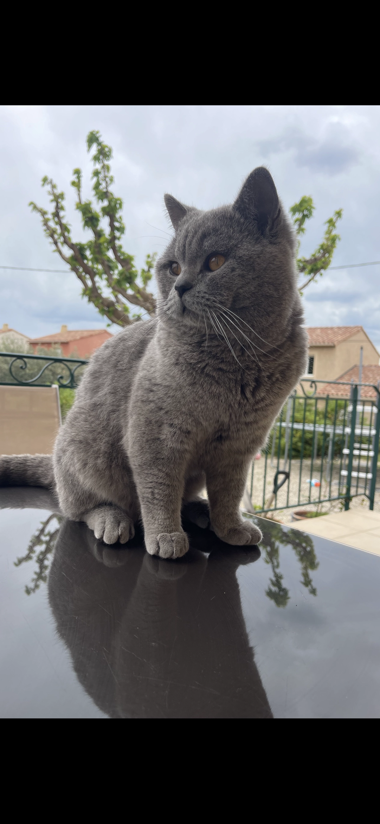 Hykio - 72 Chemin des Aréniers, Grans